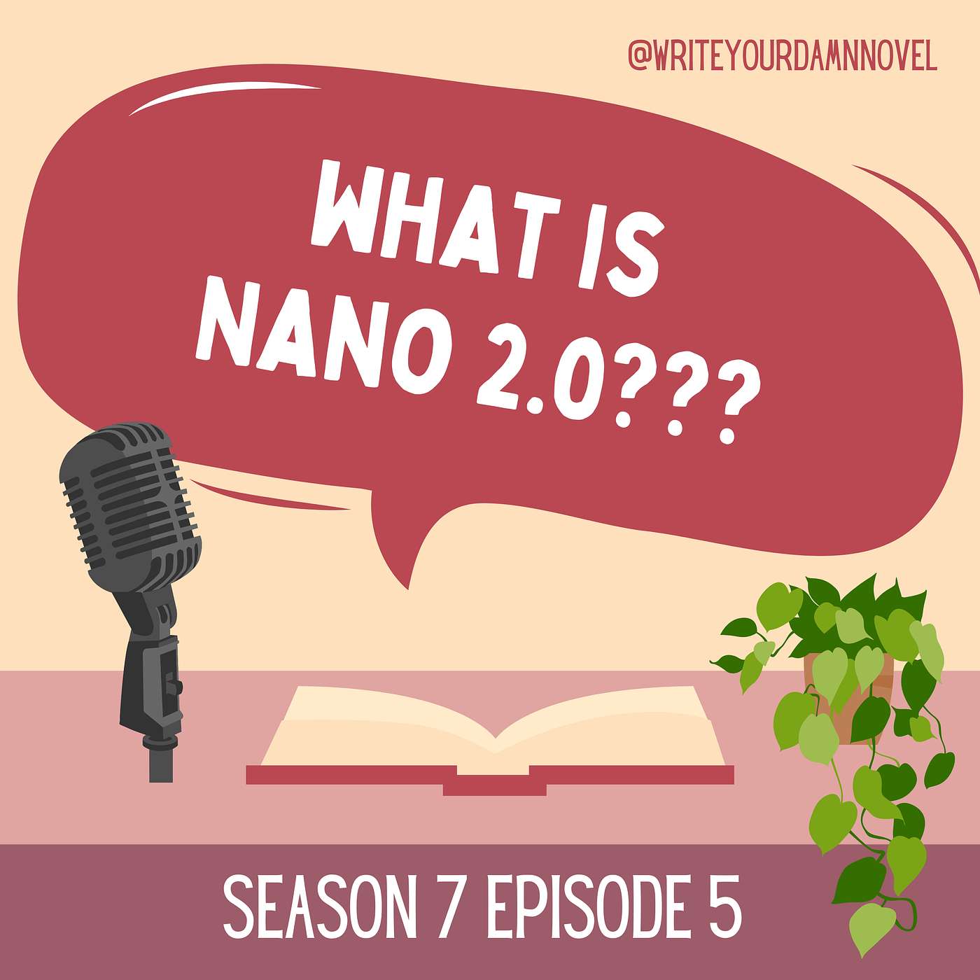 What is NaNo 2.0???
