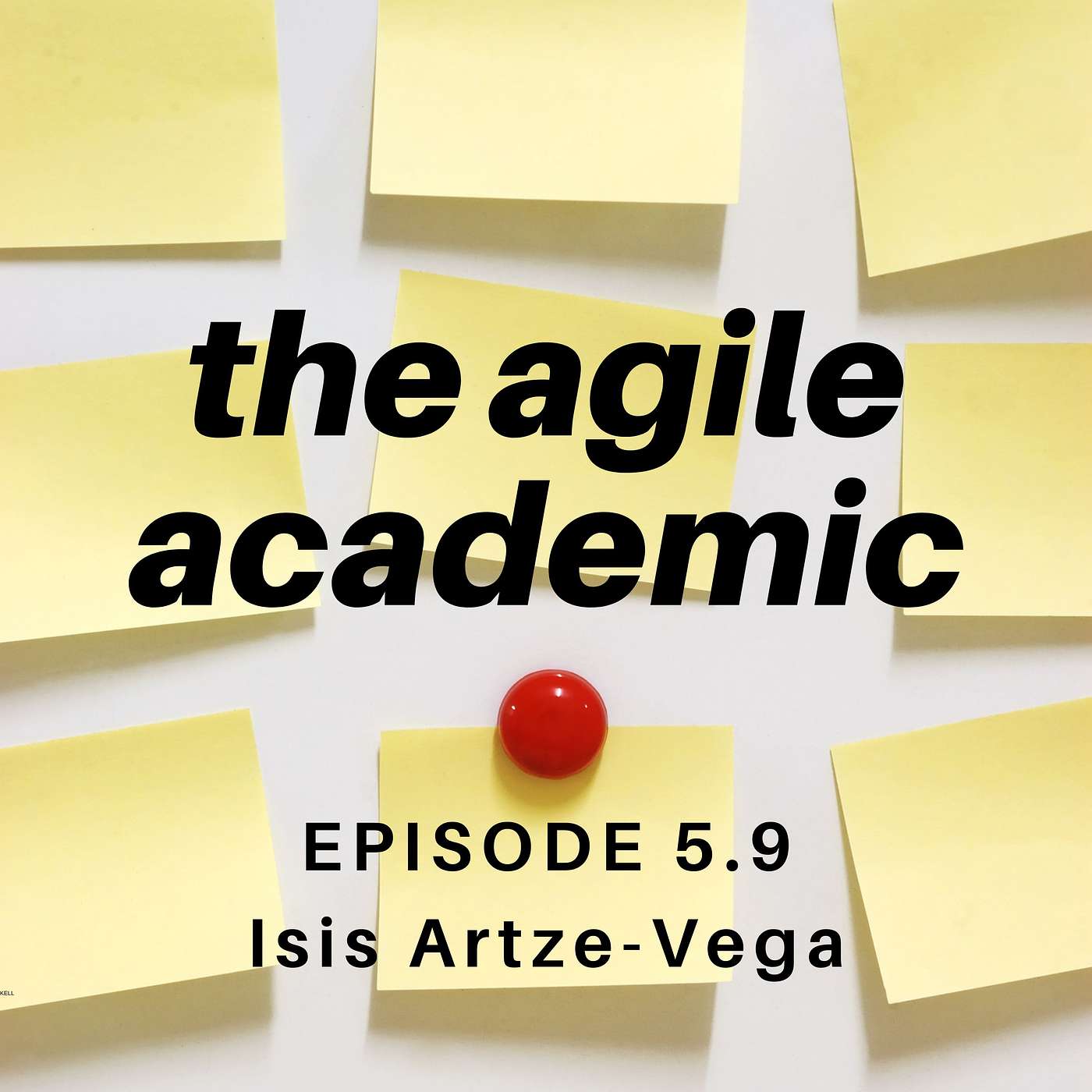the agile academic