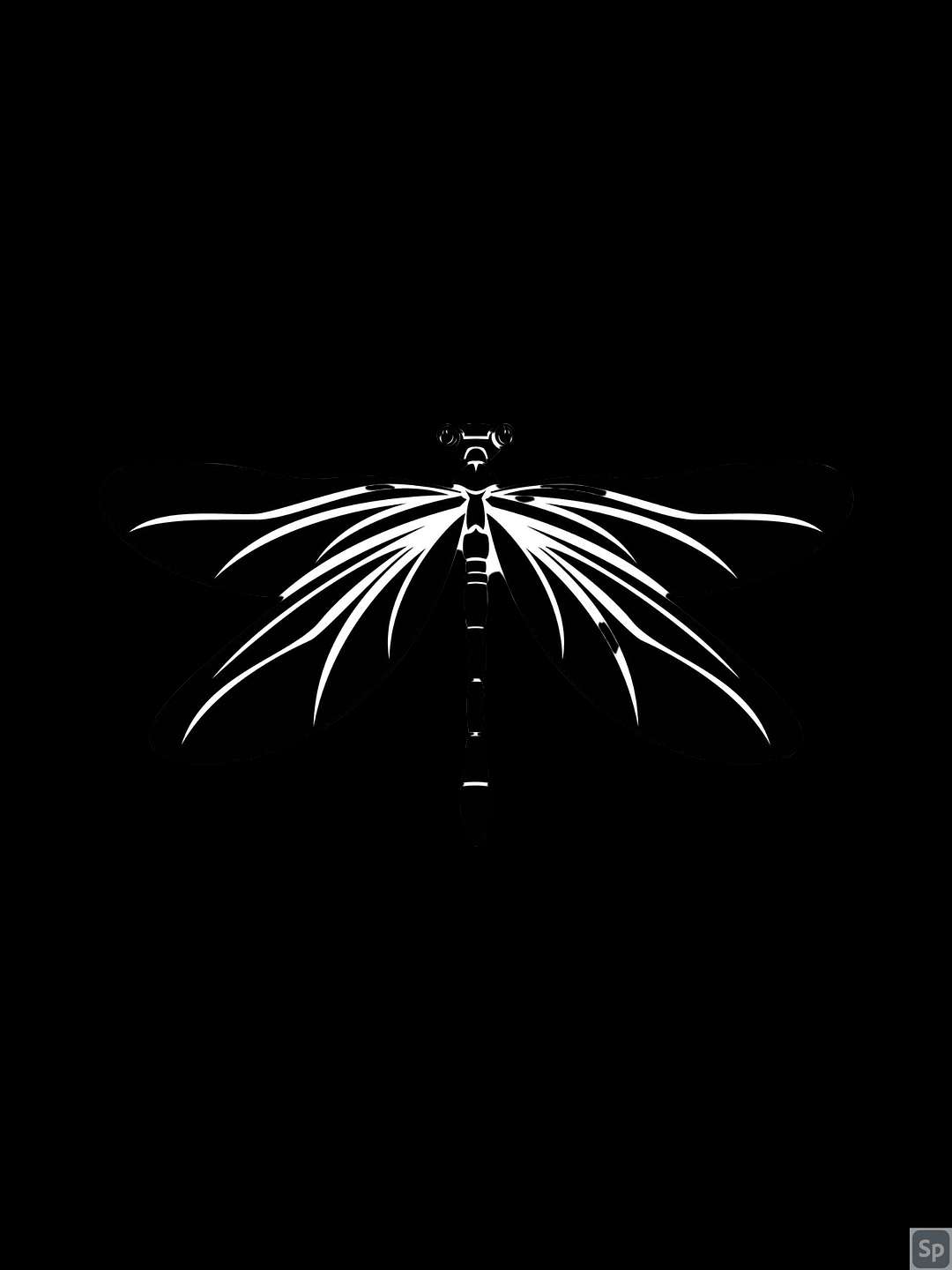 Black Dragonfly Productions