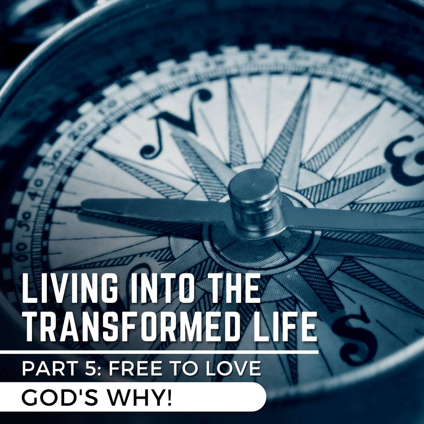 God's Why