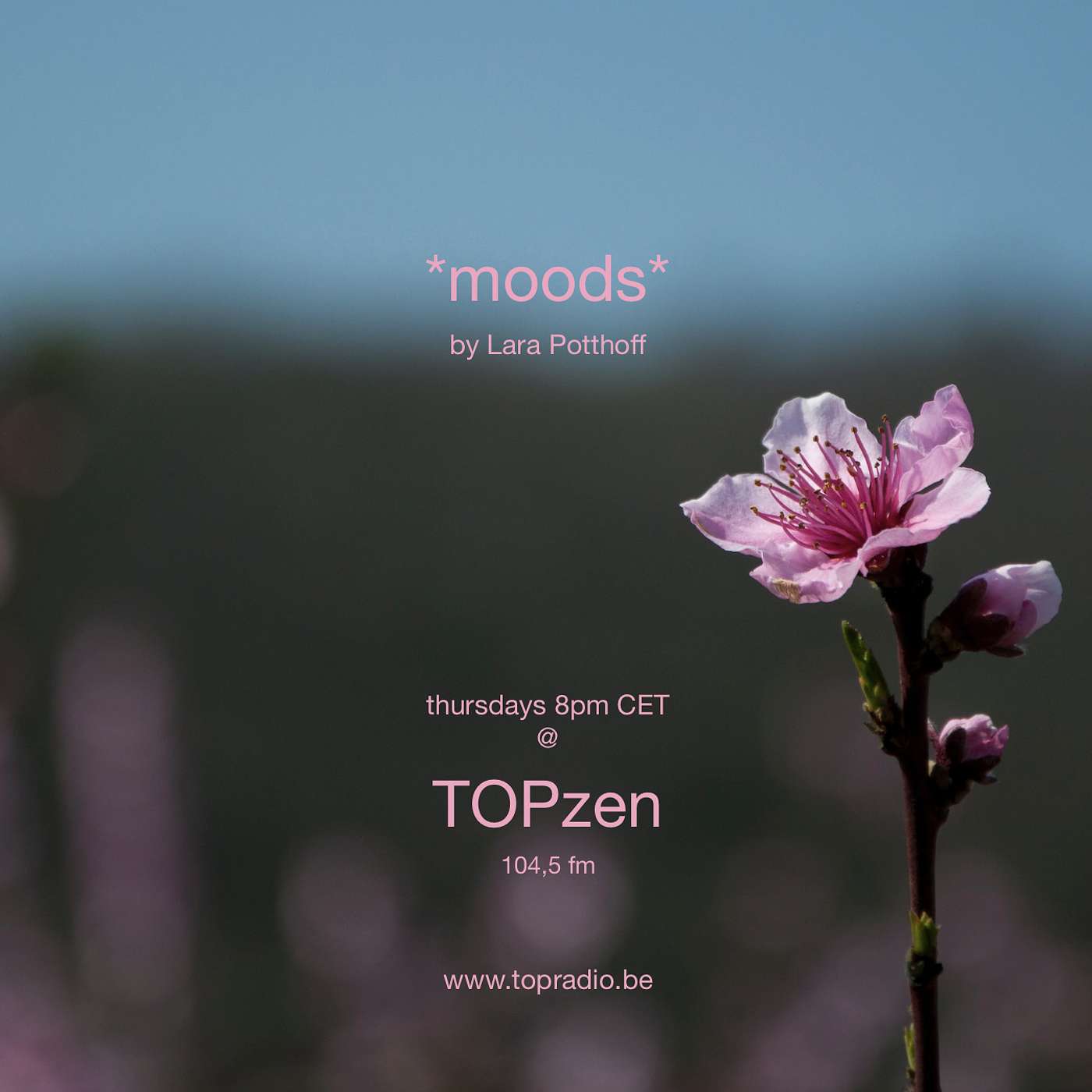 *moods* by Lara Potthoff @TOPzen 20.01.2022