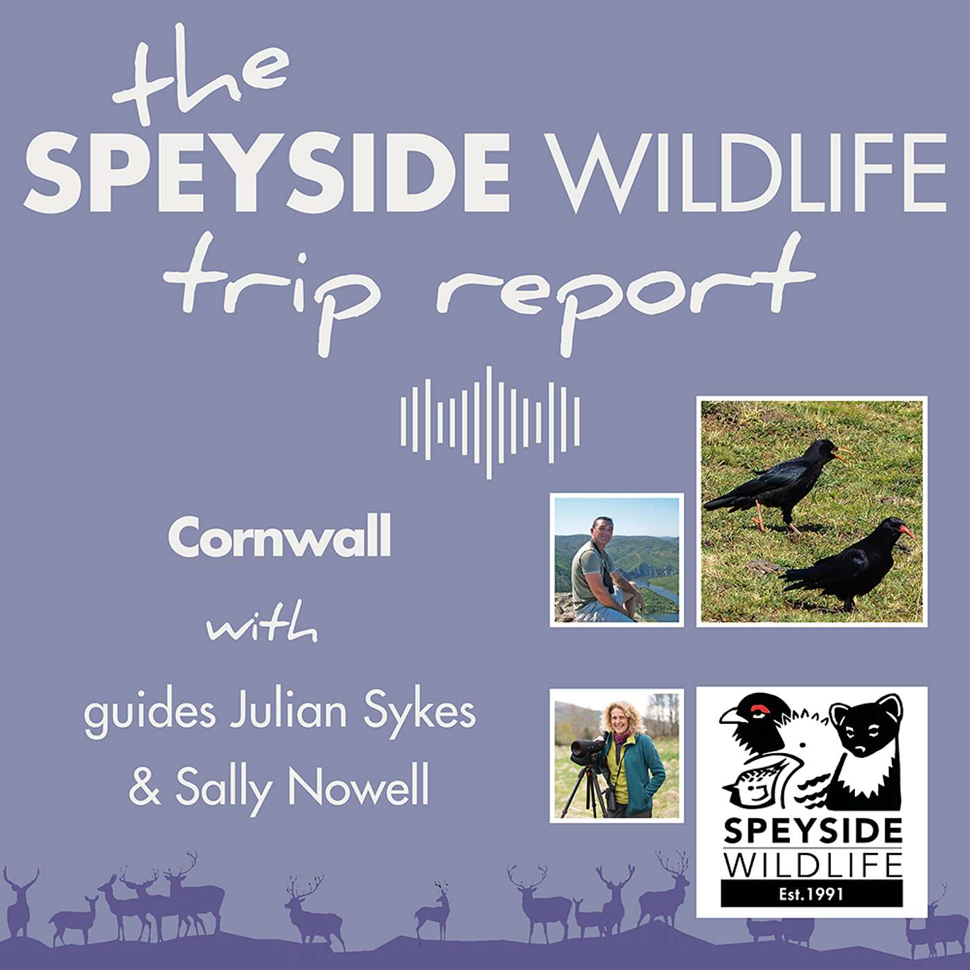 The Speyside Wildlife Trip Report