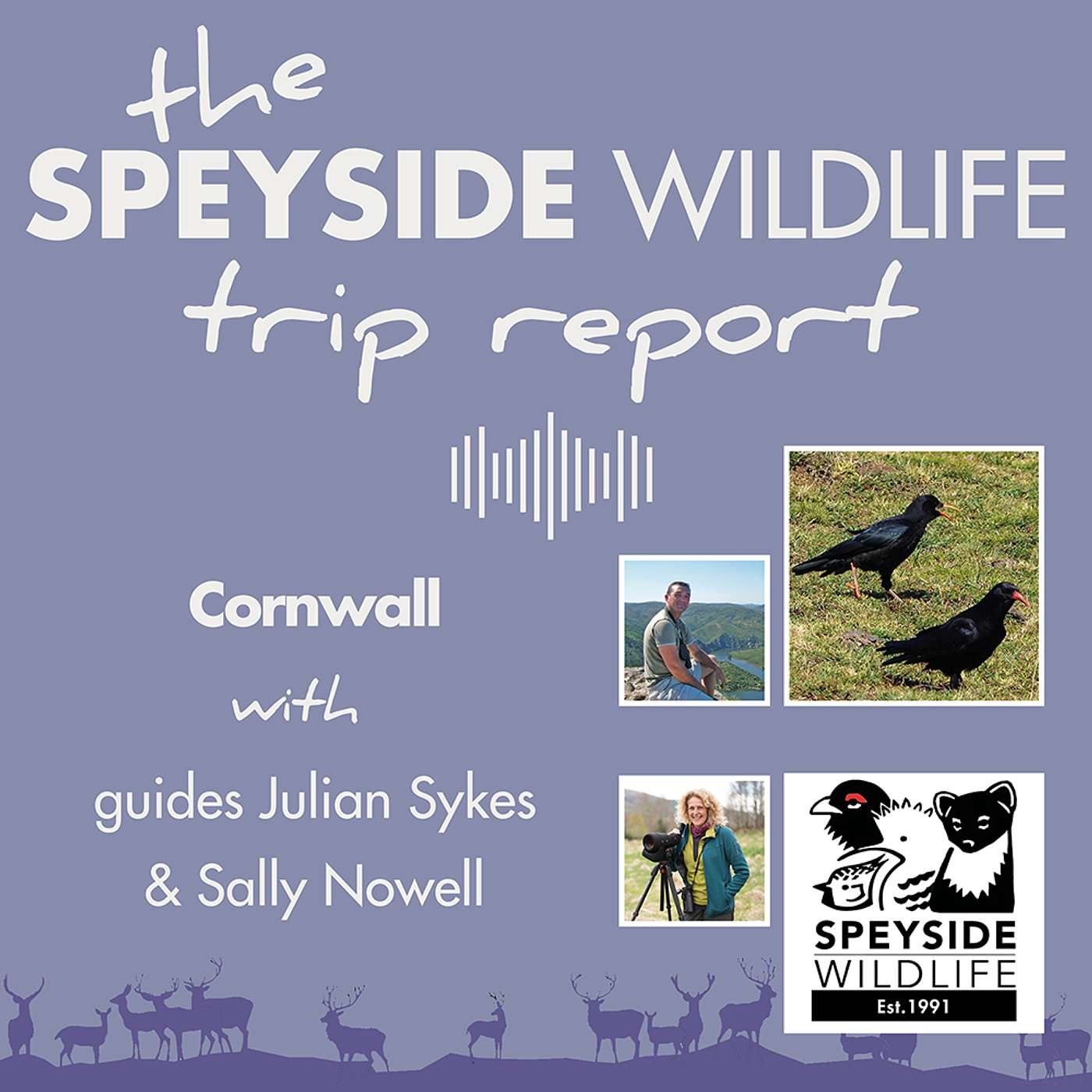 Cornwall with Julian Sykes