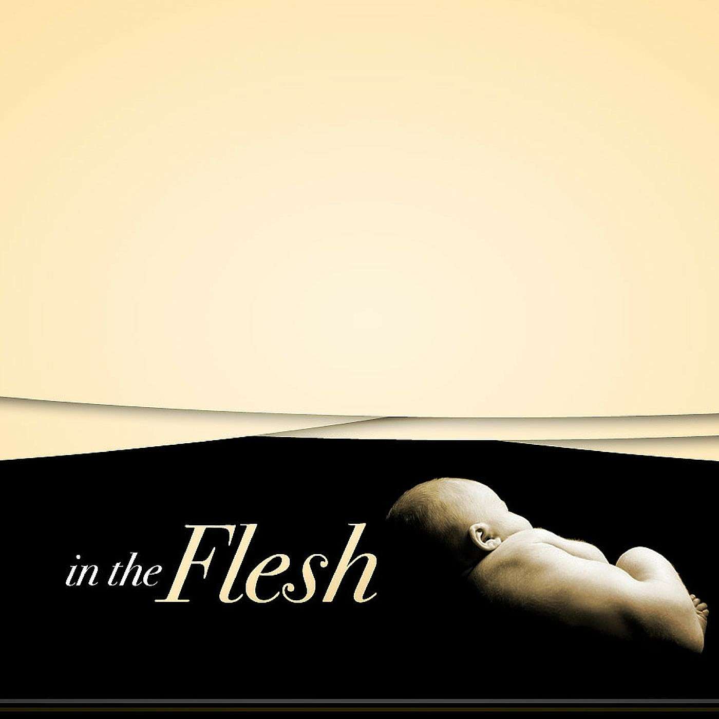 In the Flesh episode artwork