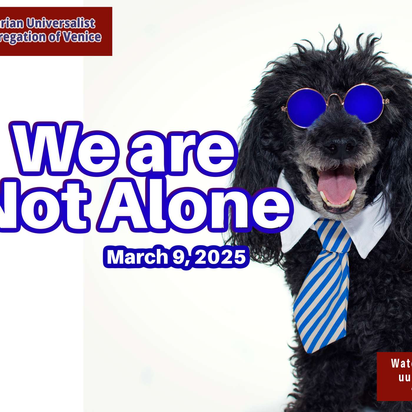 We Are Not Alone episode artwork