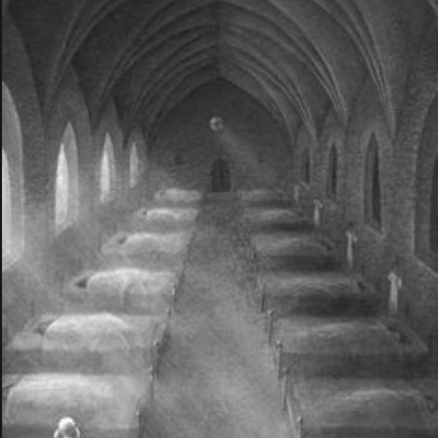 Chapter 6 continued "The Magician's Elephant" episode artwork