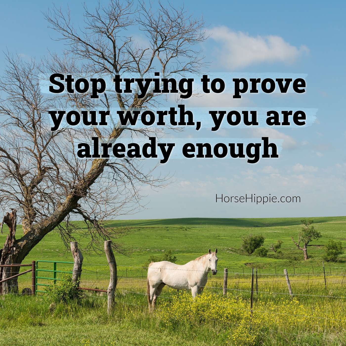 Self-Worth