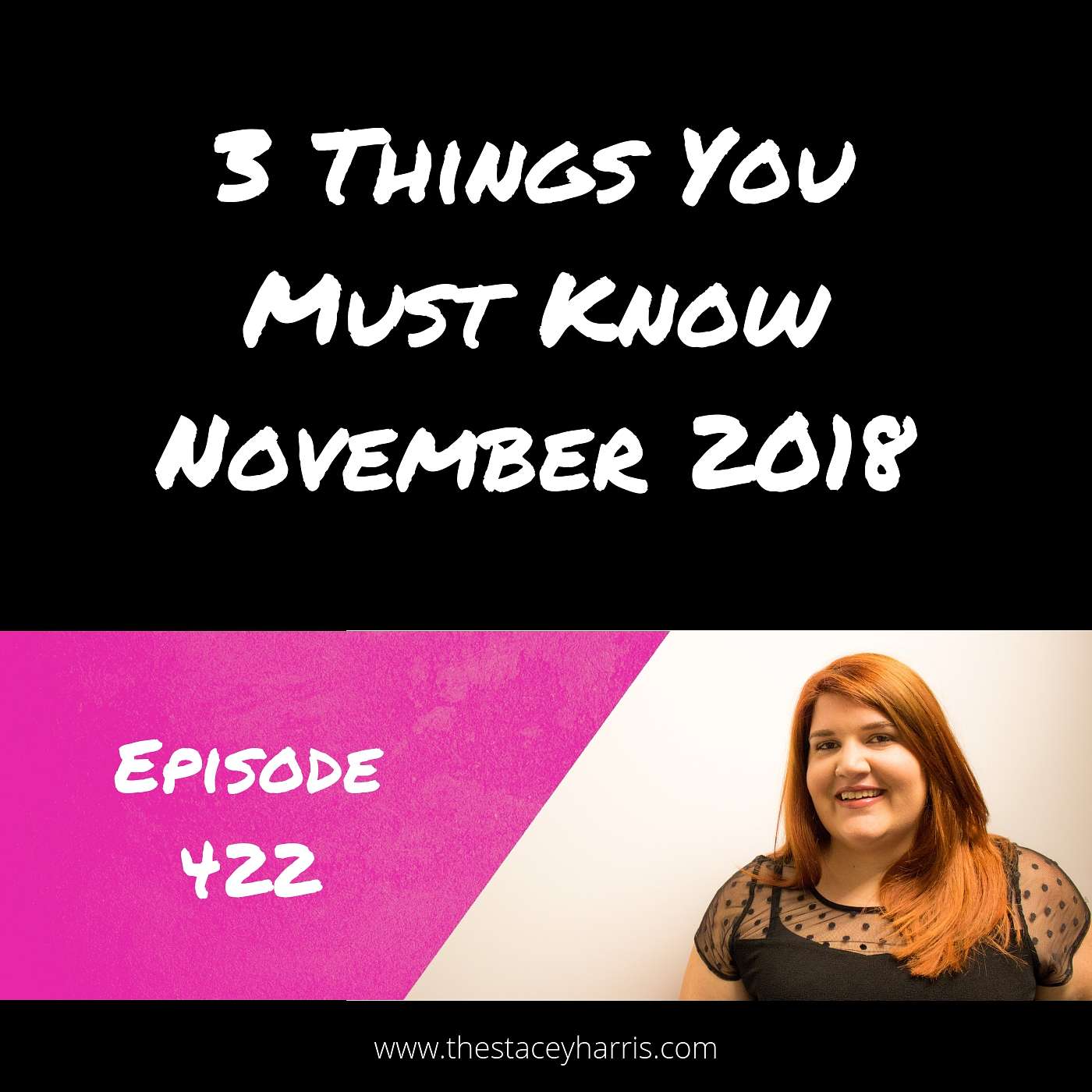The More Profitable Podcast with Stacey Harris