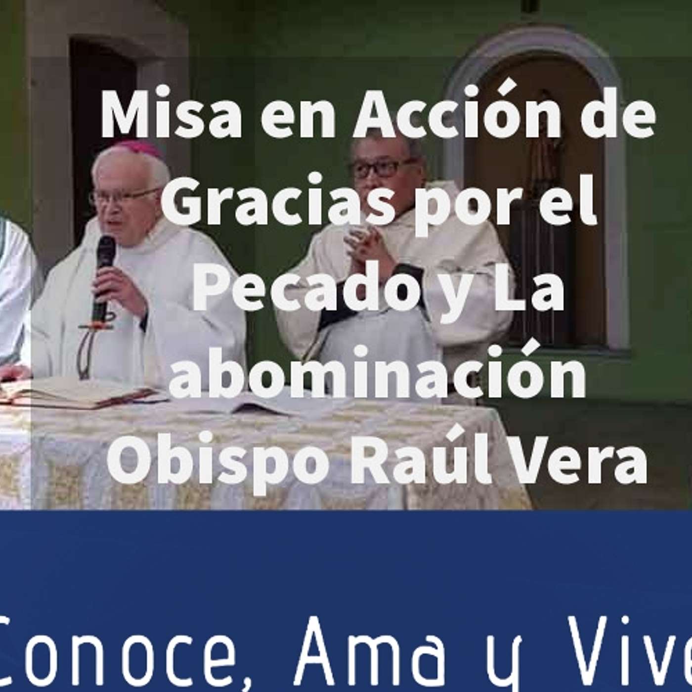 Episodio 163: 😲 Obispo Raúl Vera ✝️ Misa en Acción de gracias por el pecado y la abominación 😪 episode artwork