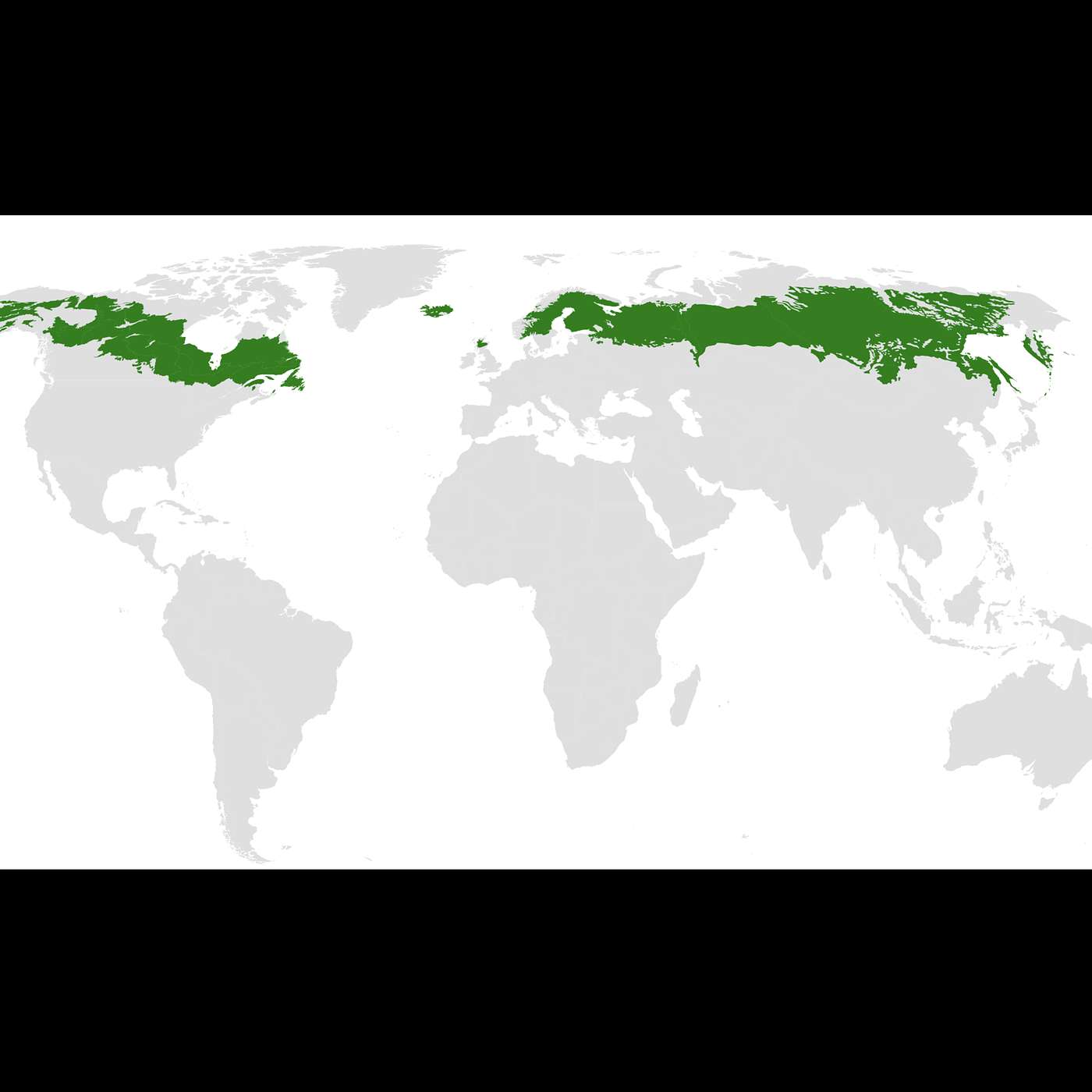 Tuesday, August 20, 2024 - Awoogah, there's a forest fire in the TAIGA!!