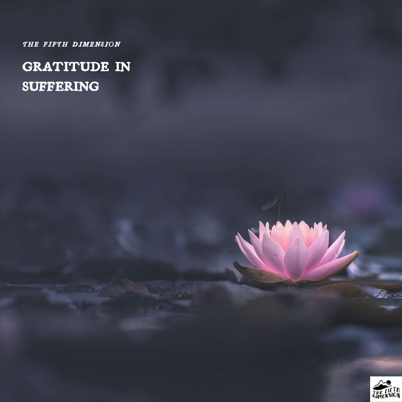 Gratitude in Suffering