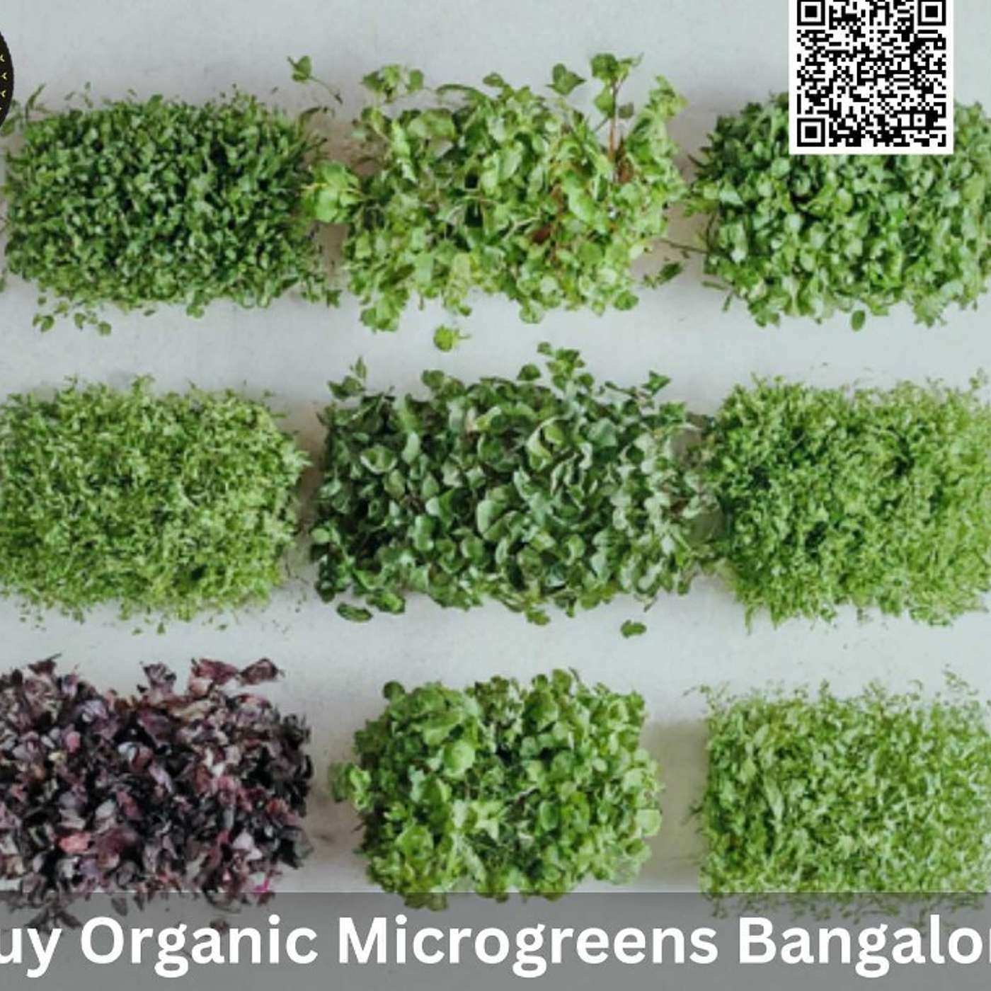 Buy Organic Microgreens in Bangalore: Your Guide to Fresh, Local Greens