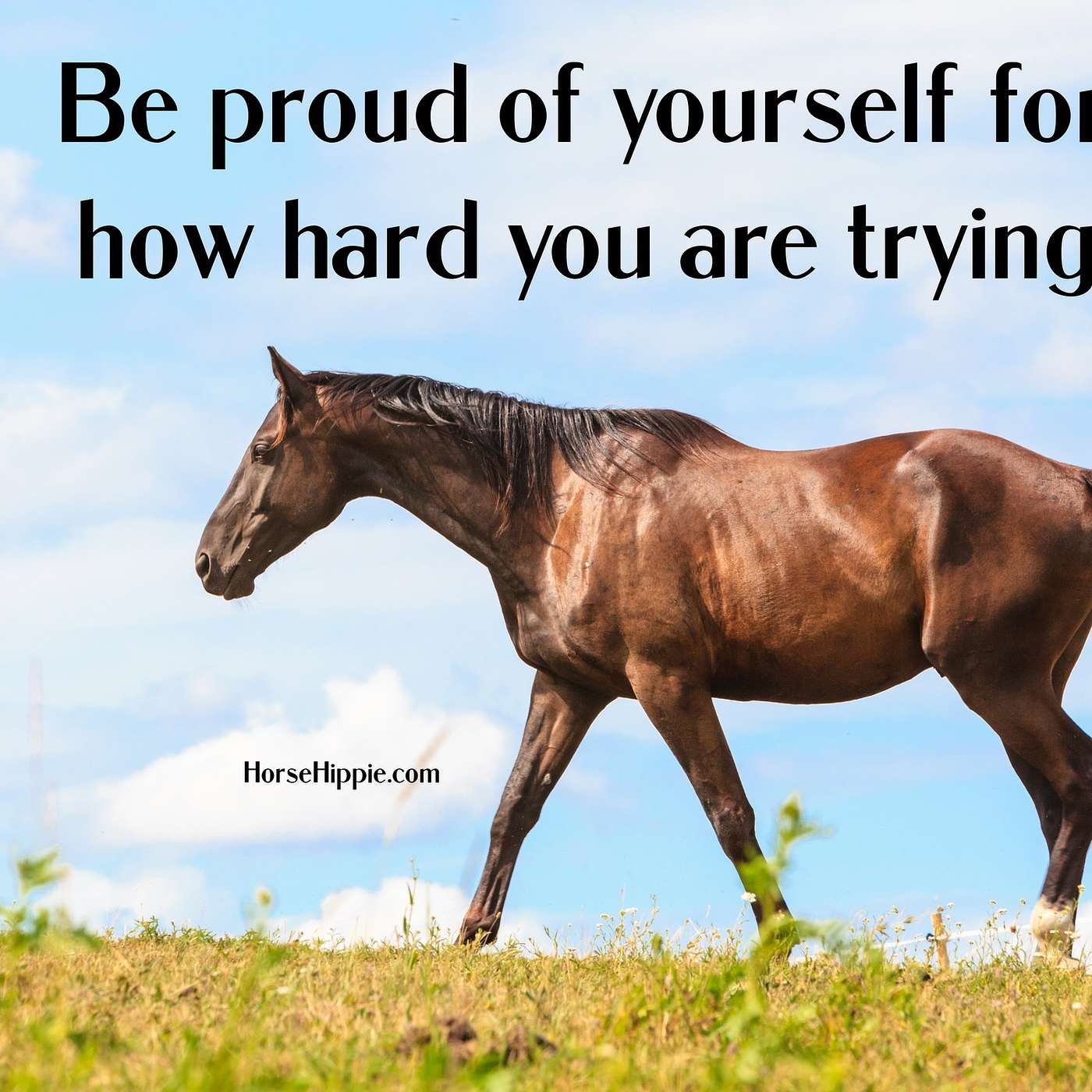 Be Proud of Your Journey
