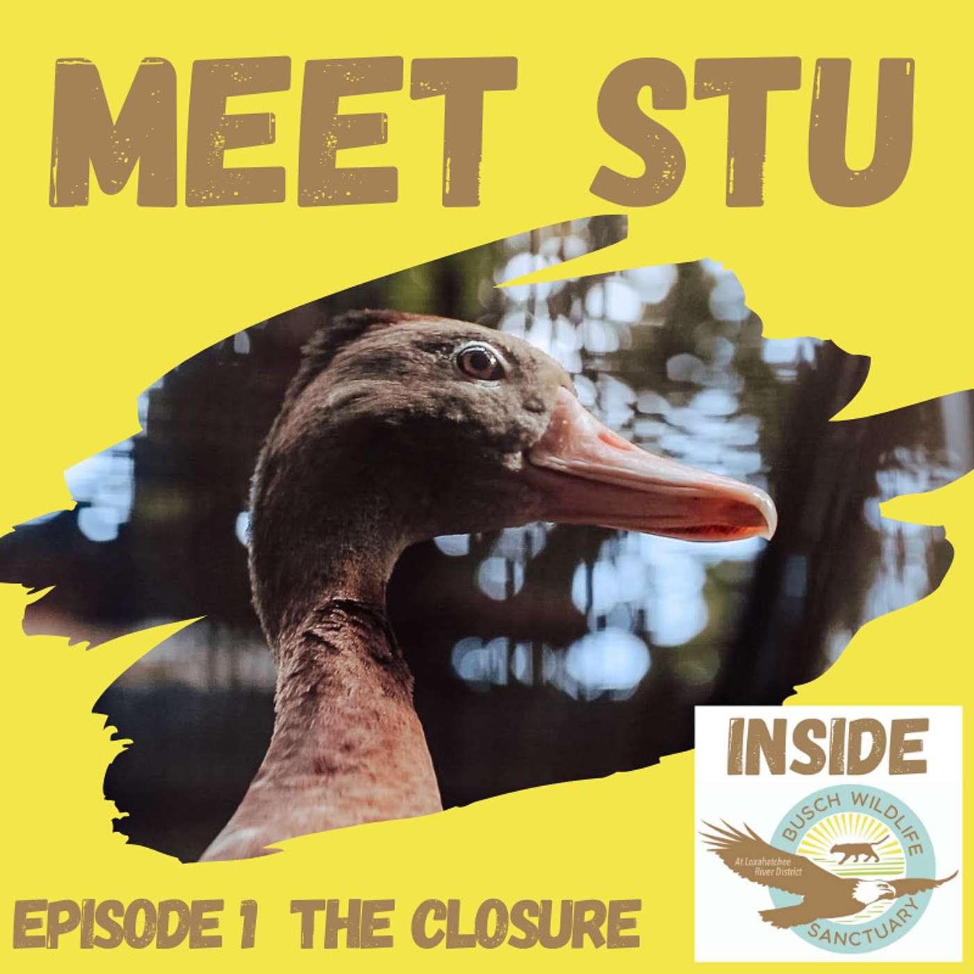 Episode 1: The Closure