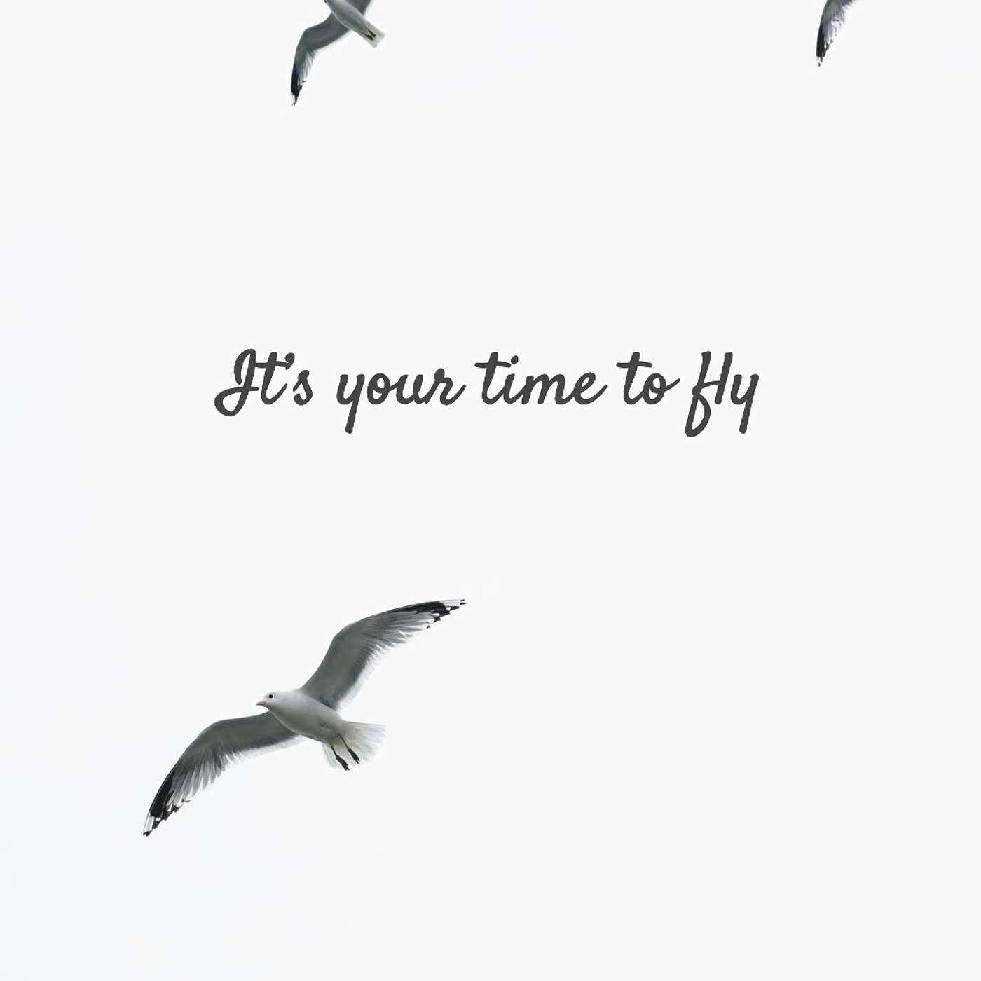 #232 It’s your time to fly episode artwork