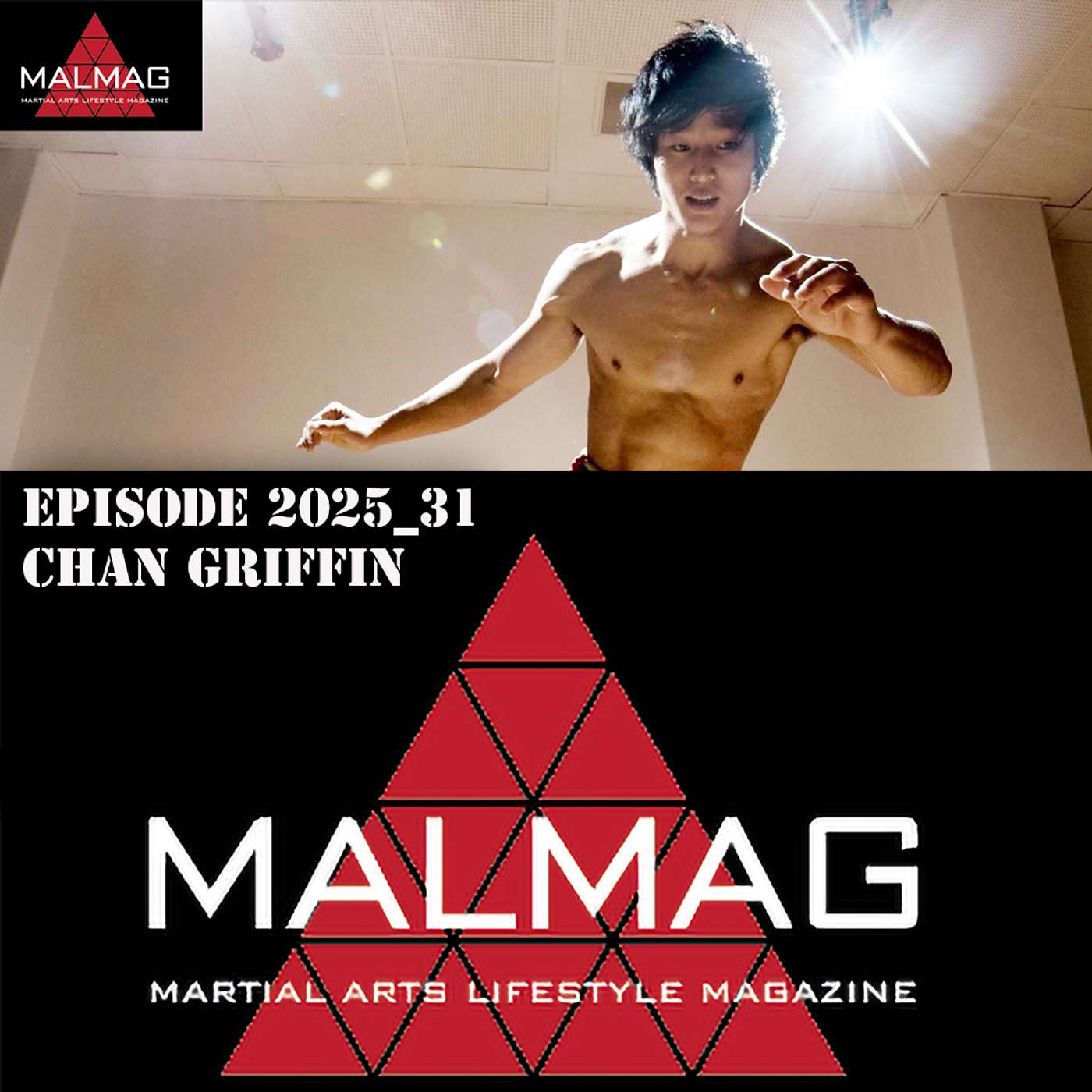 The Martial Arts Lifestyle Podcast