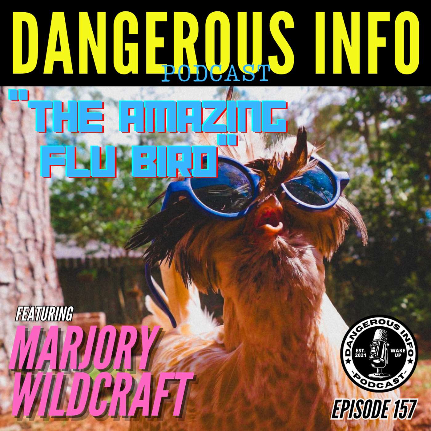 157 "The Amazing Flu Bird" ft. Marjory Wildcraft, Jewish Mexican, bugout bag electronics, my mystery dream