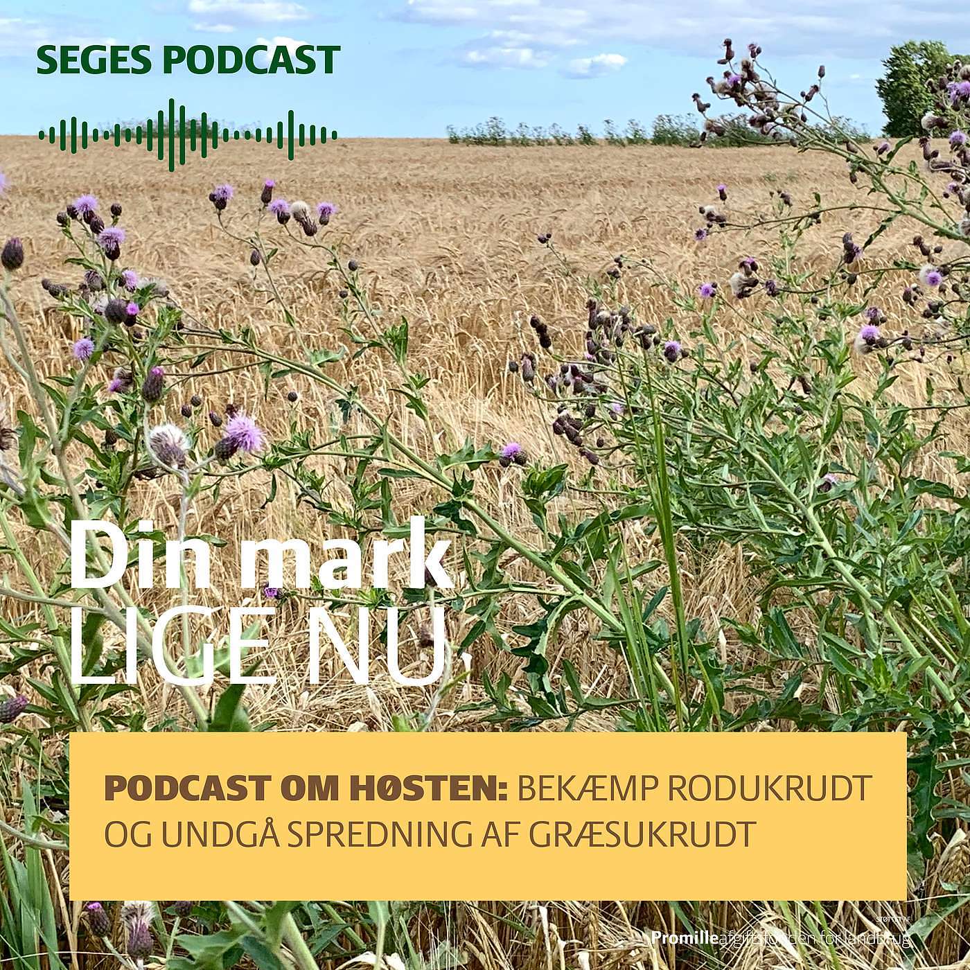 SEGES Økonomi og virksomhedsledelse