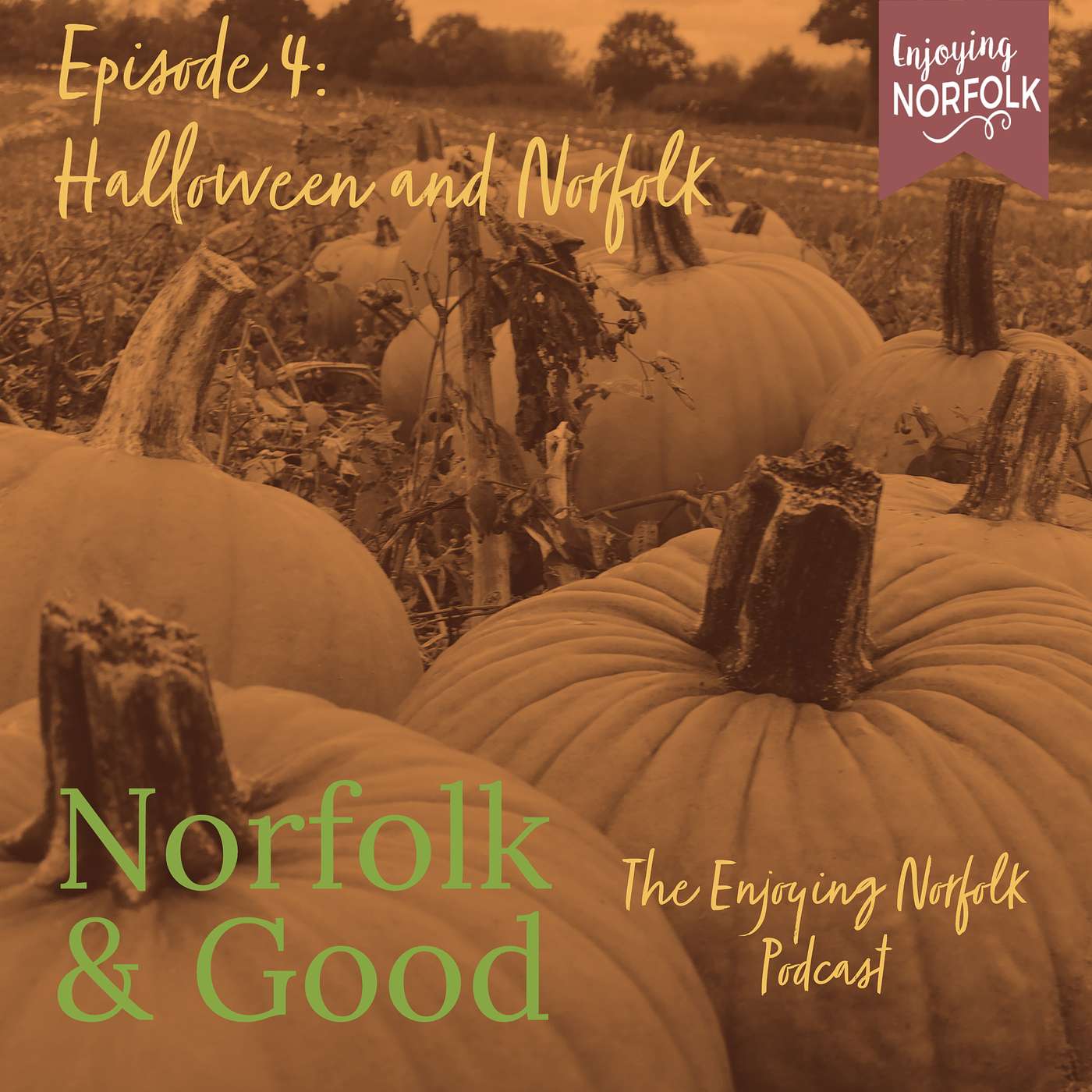 Halloween and Norfolk