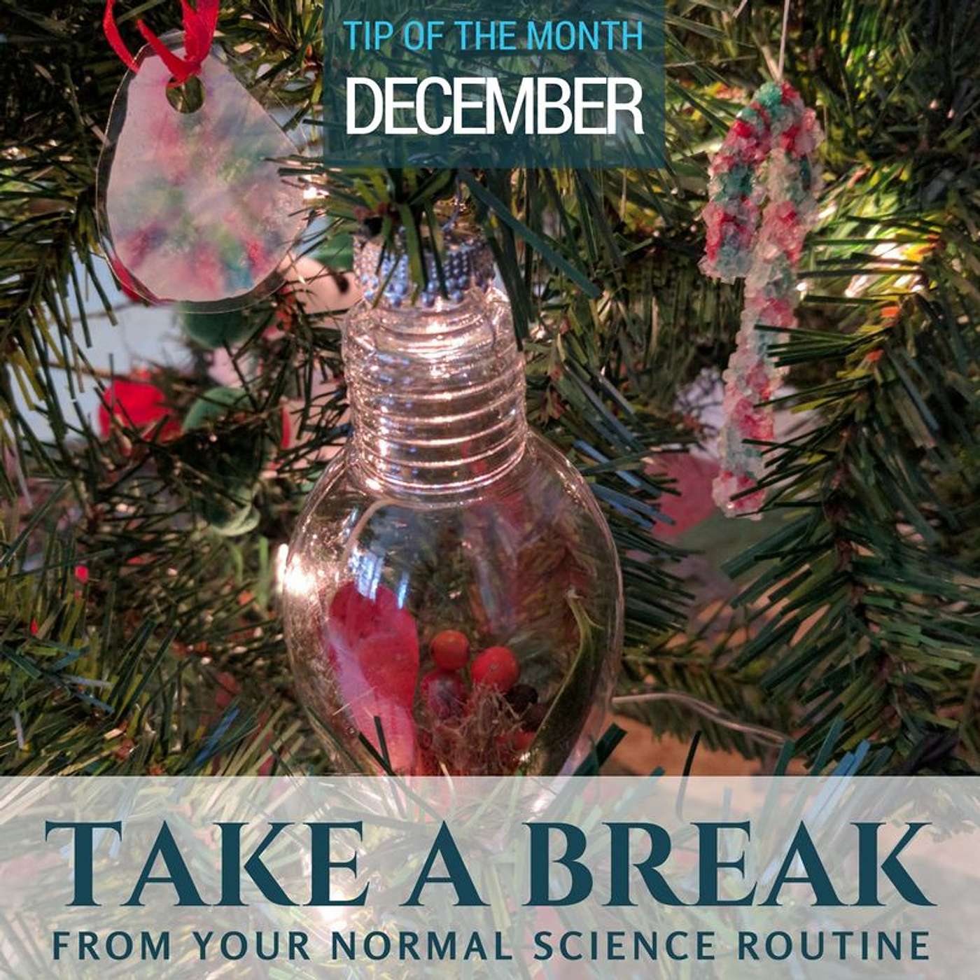Take a Break {Homeschool Science Tip of the Month December 2016} episode artwork