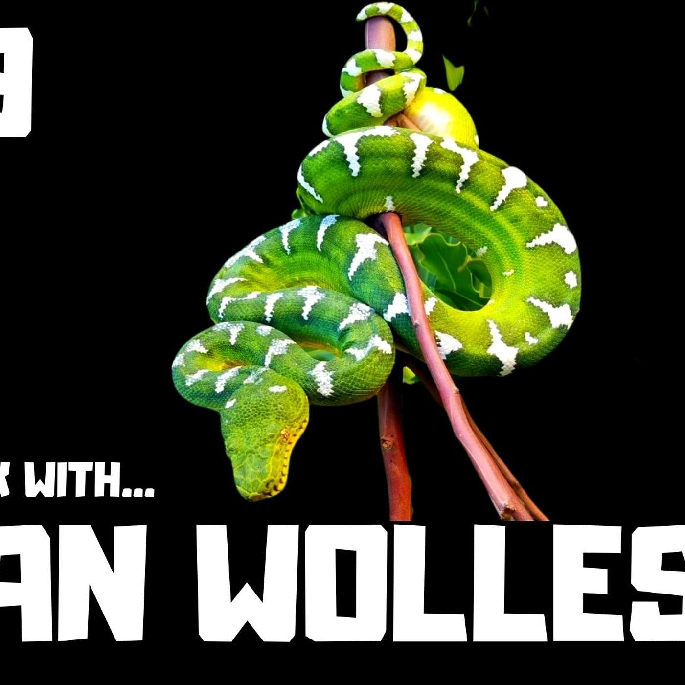 #69 RYAN WOLLESON OF REPTILES WILD | EMERALD TREE BOA BREEDER | CORALLUS CANINUS | TRAP TALK WITH MJ