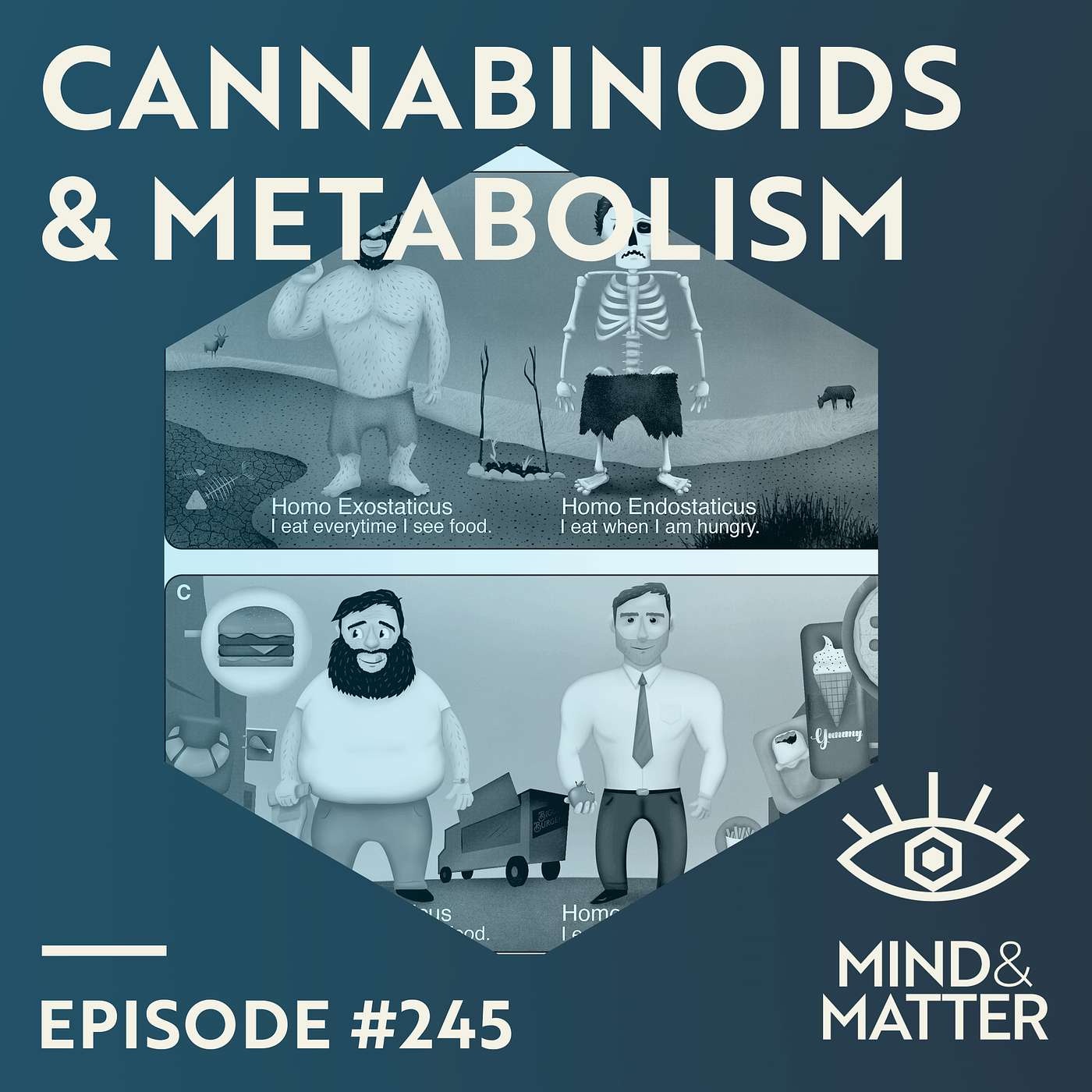 Cannabinoid System: Metabolism, Evolution & Energy Storage | Giovanni Marsicano | 245