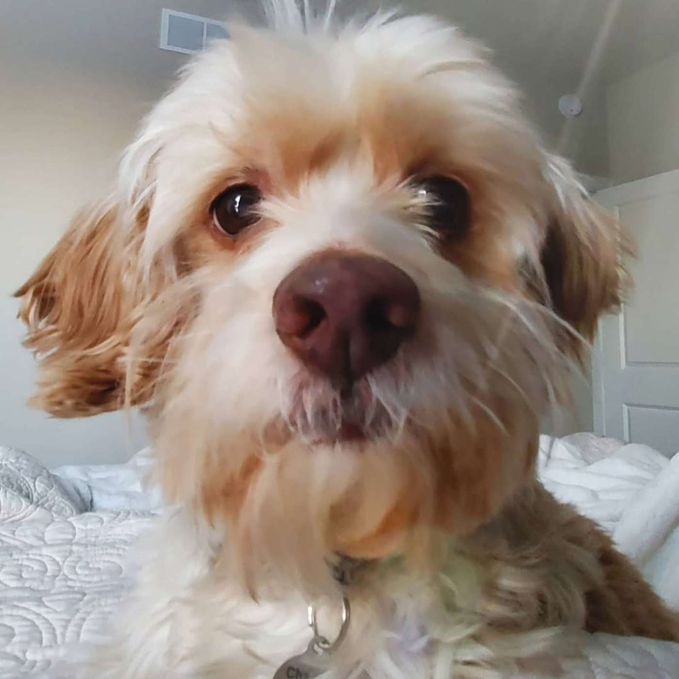 A Volunteer Who Does it All- Meet Karmen!