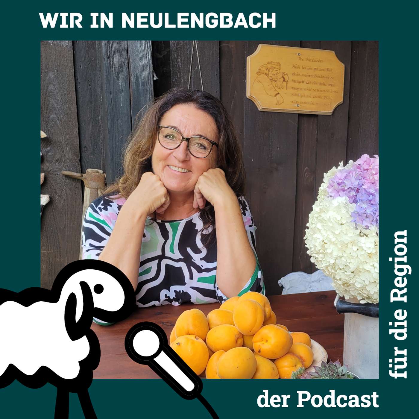 Wir in Neulengbach - der win-win Podcast für die Region