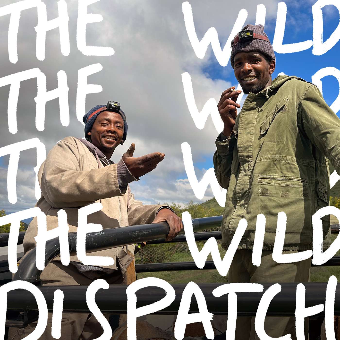 The Wild Dispatch