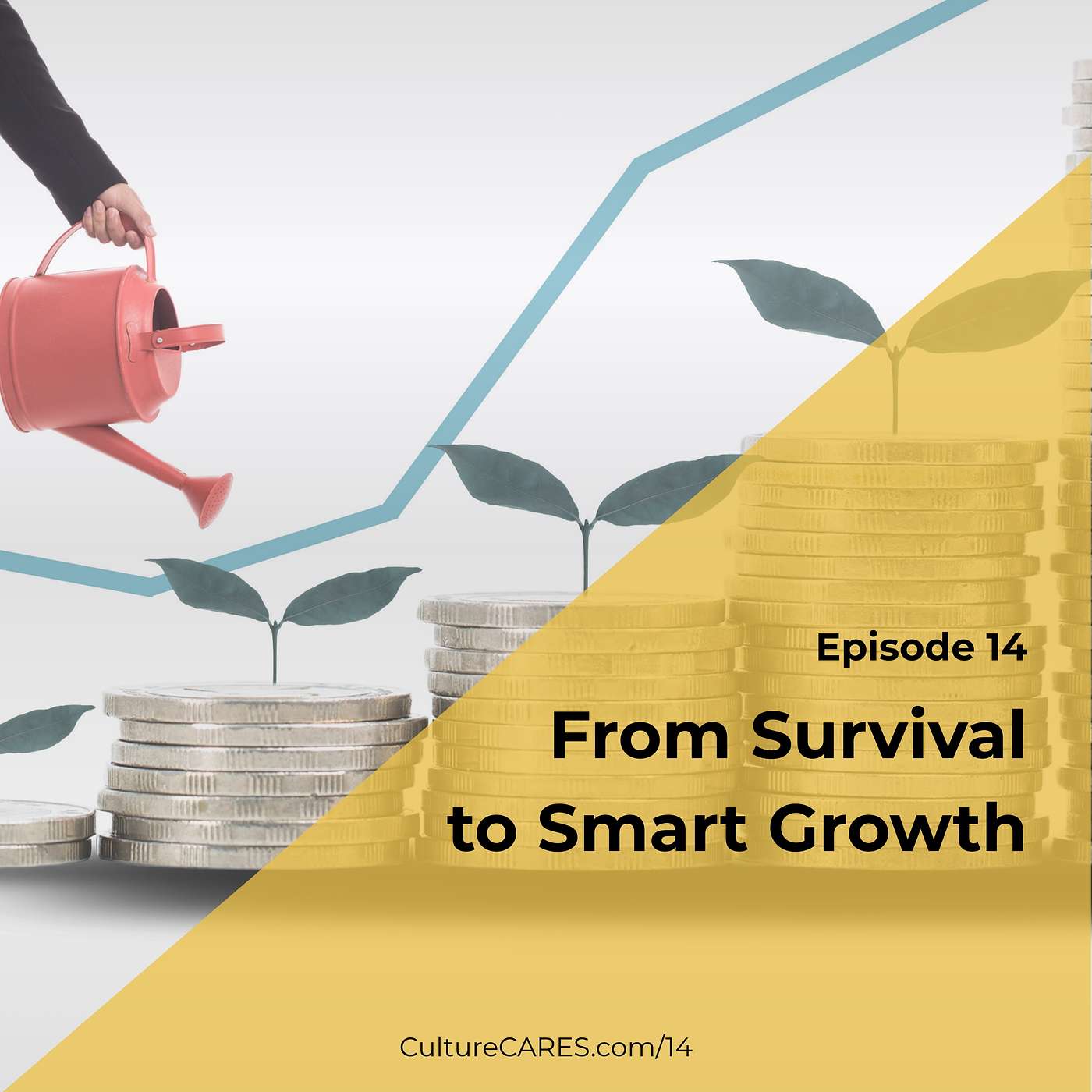 From Survival to Smart Growth