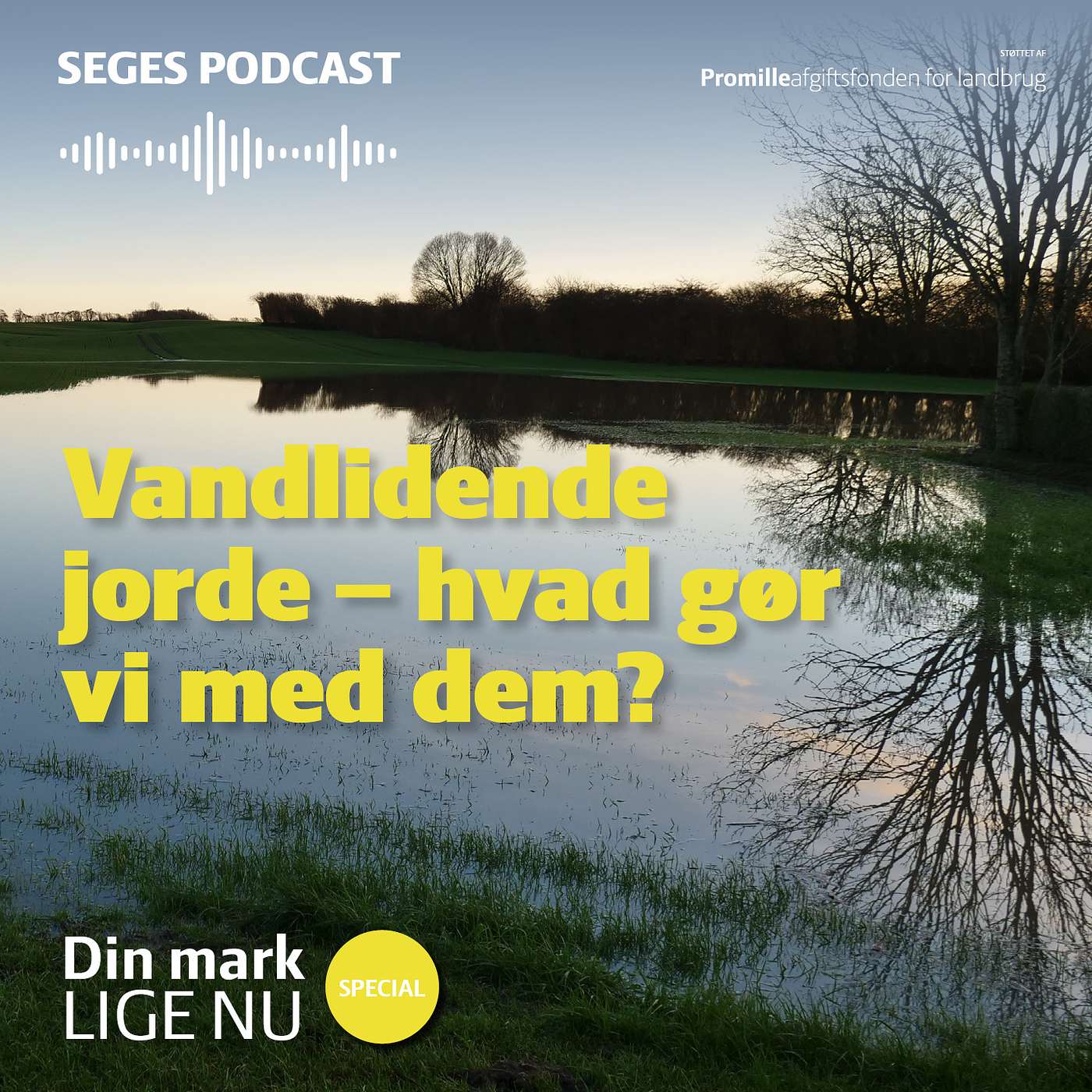Plante-podcast fra SEGES Innovation