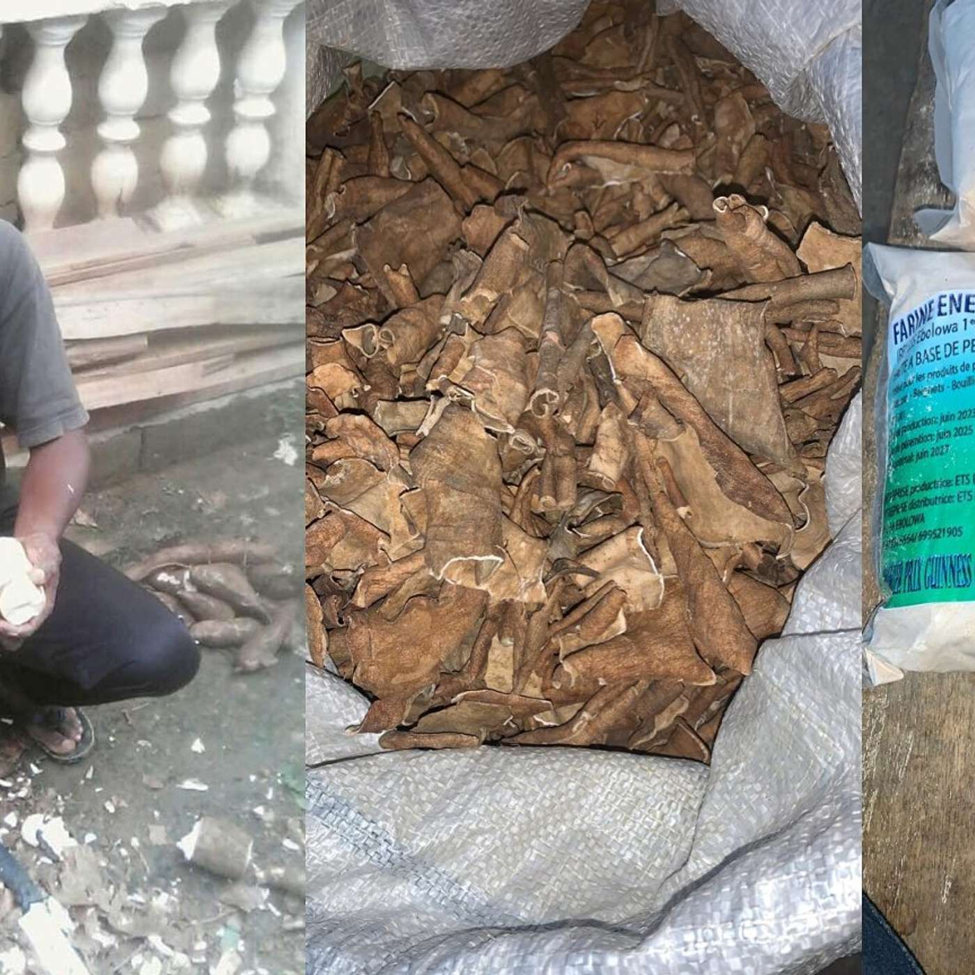 Santé, Science et Développement