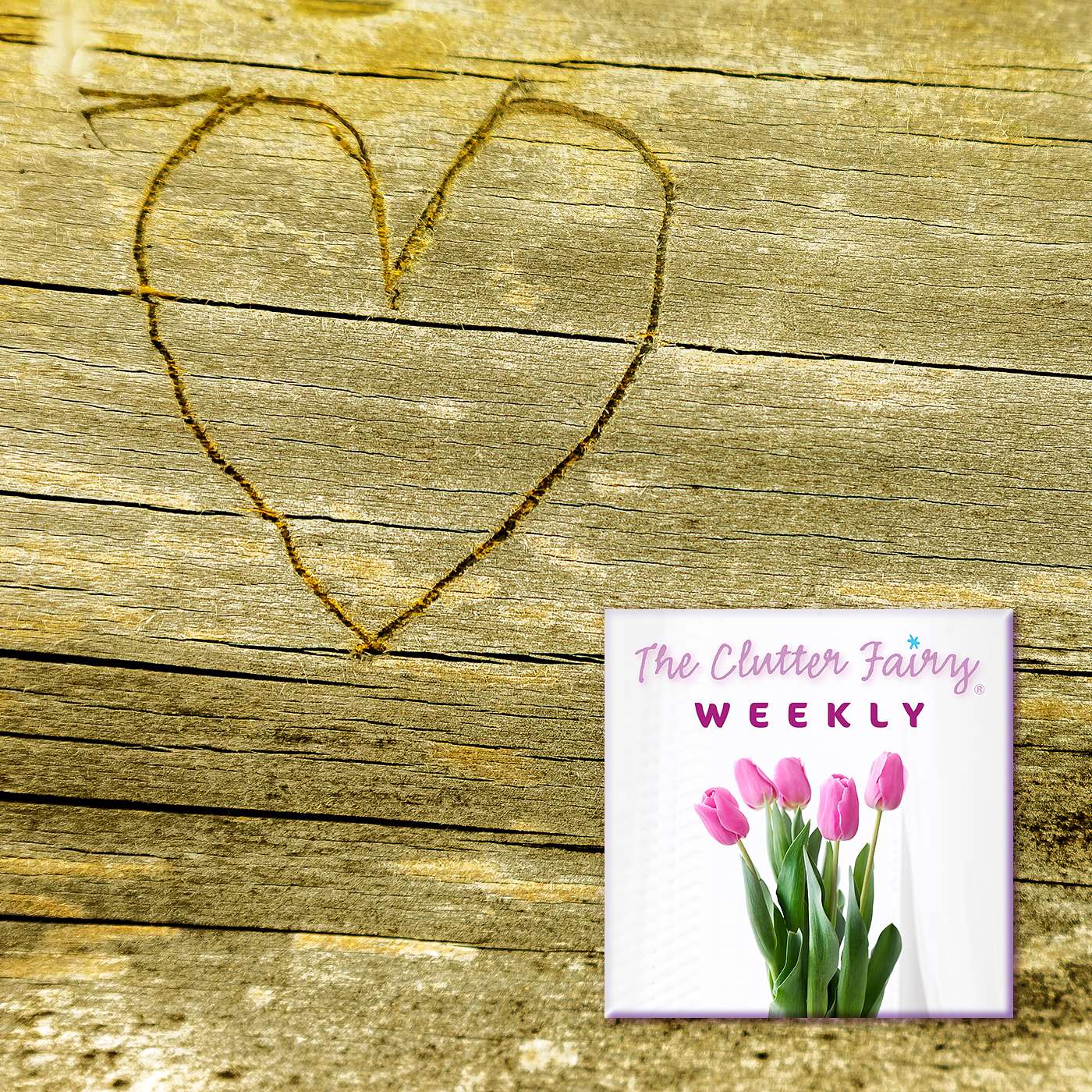I’ve Got a Feeling: When Emotions Complicate the Organizing Process - The Clutter Fairy Weekly #106