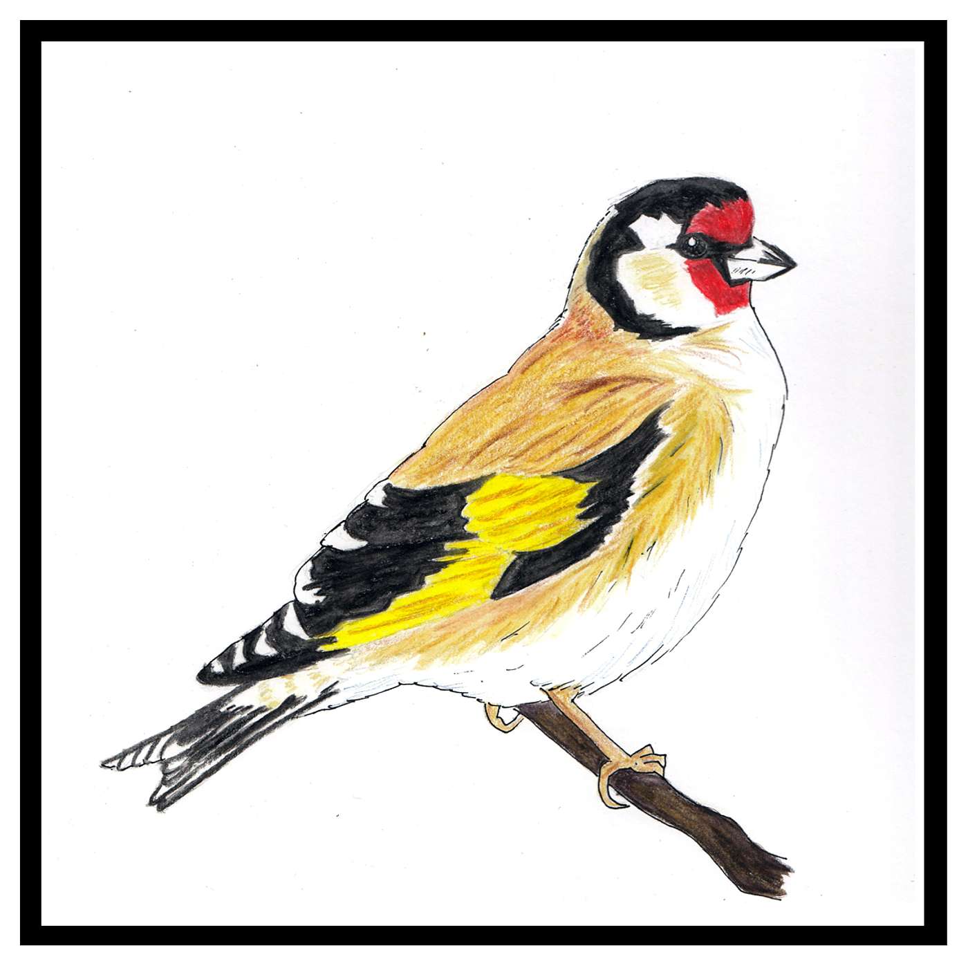 Episode 1: Goldfinch