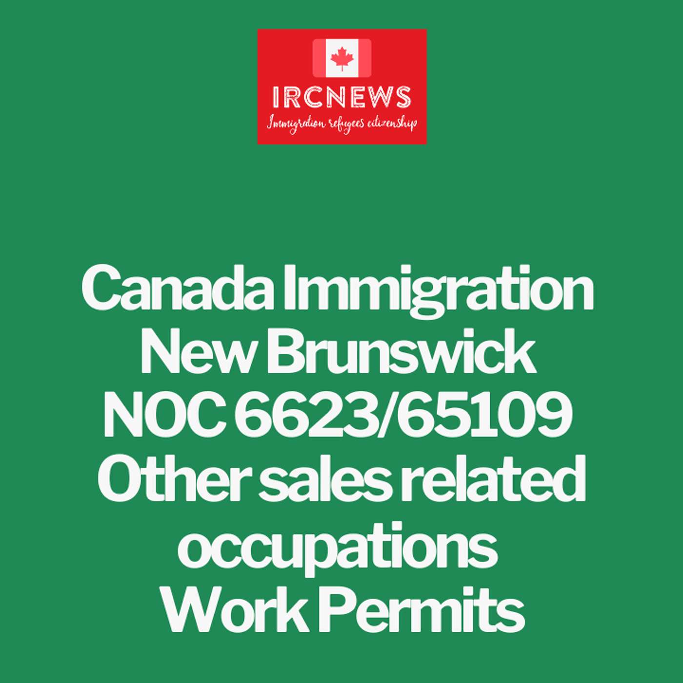 Canada Immigration New Brunswick NOC 6623/65109 Other sales related occupations Work Permits episode artwork