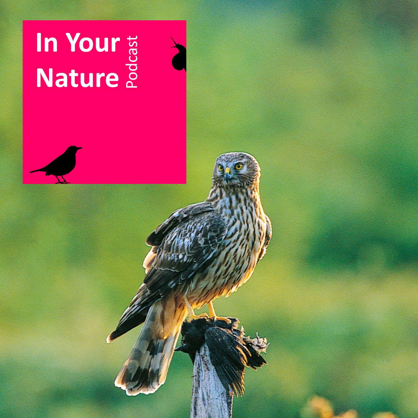 In Your Nature