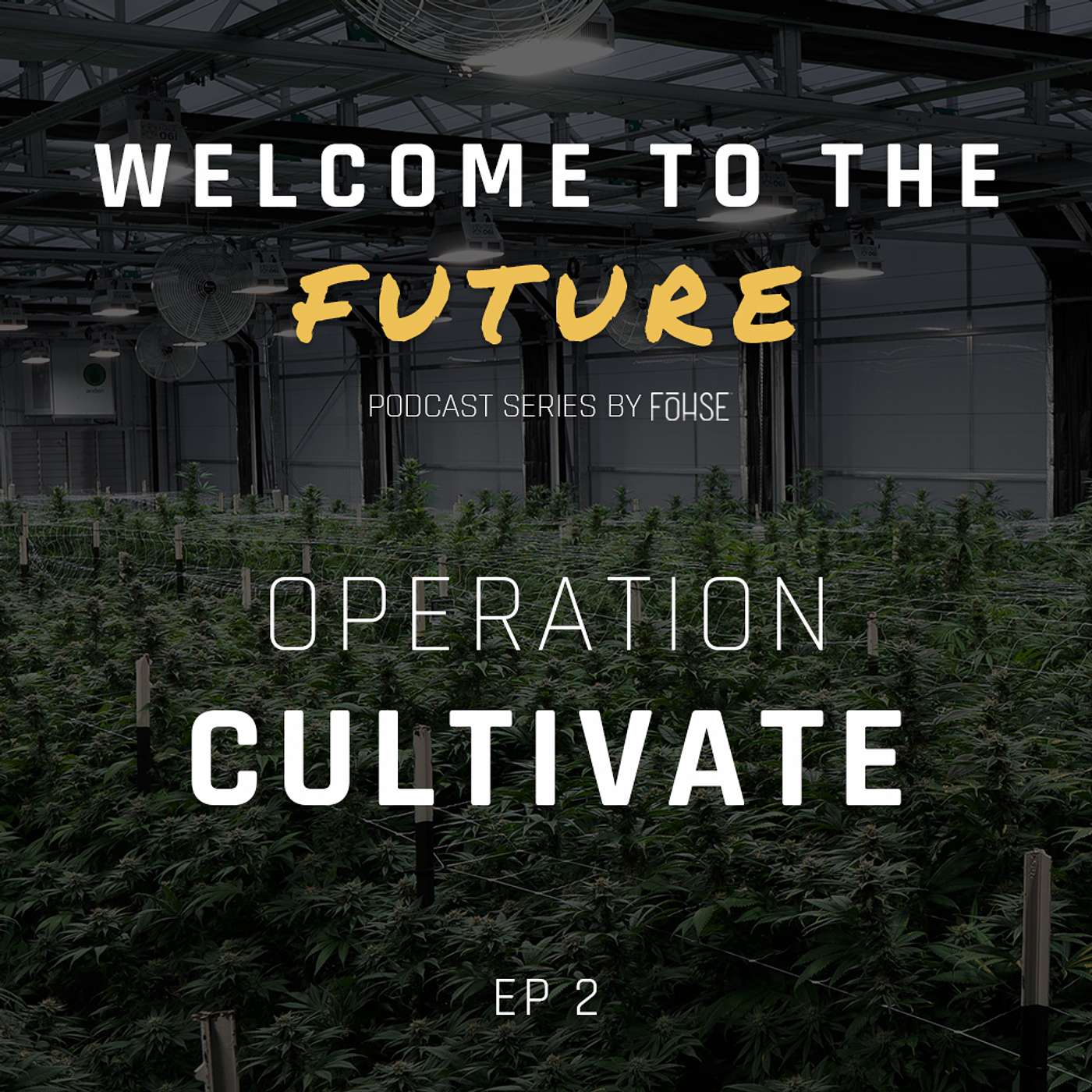 Operation Cultivate w/ Kevin Kuethe