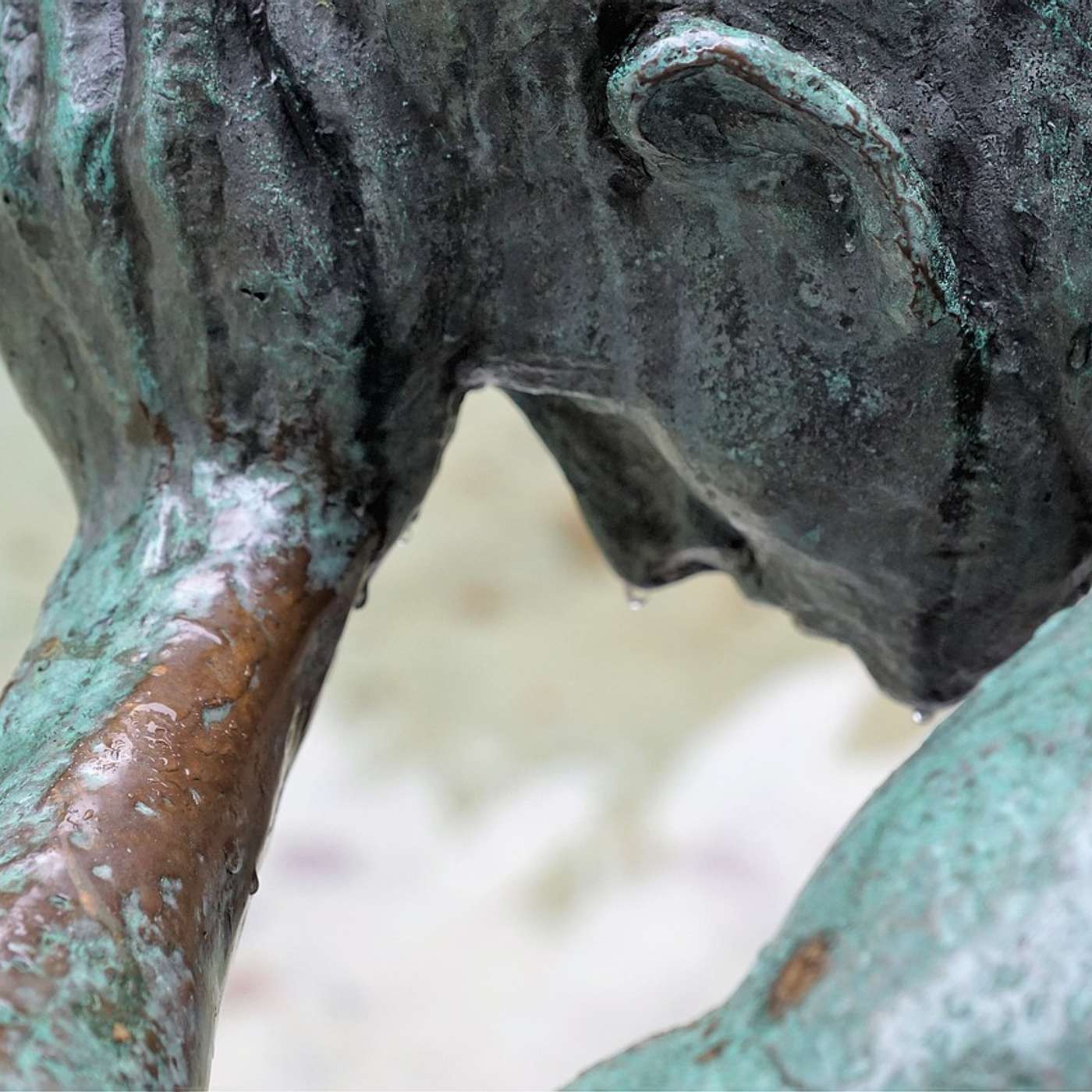 Concerning Suffering