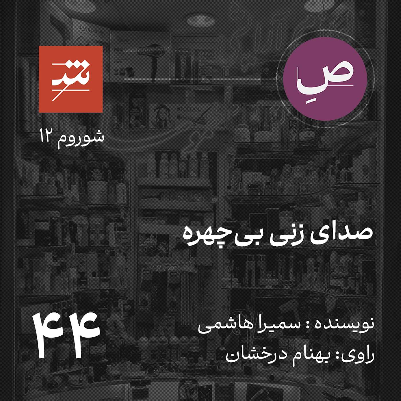 صدای زنی بی‌چهره
