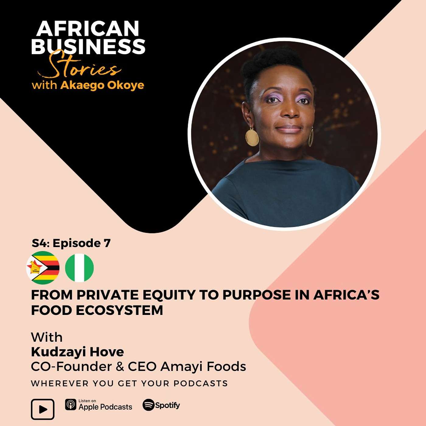 African Business Stories