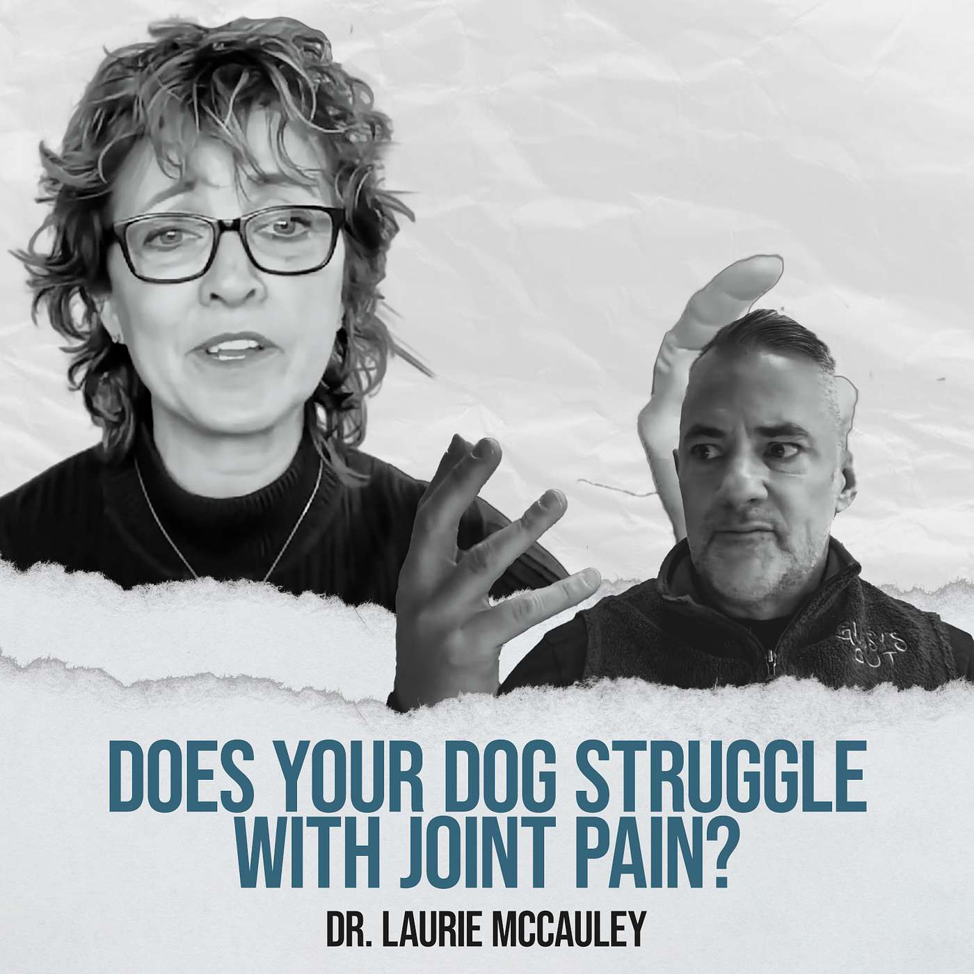 Does Your Dog Struggle With Joint Pain? - with Dr. Laurie McCauley