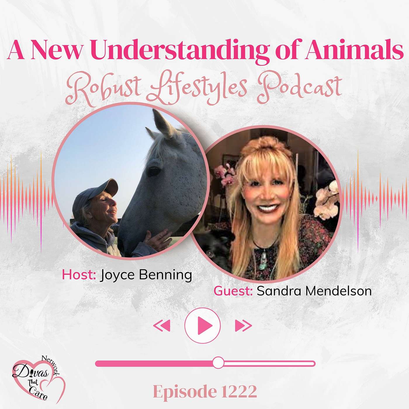 A New Understanding Of Animals episode artwork