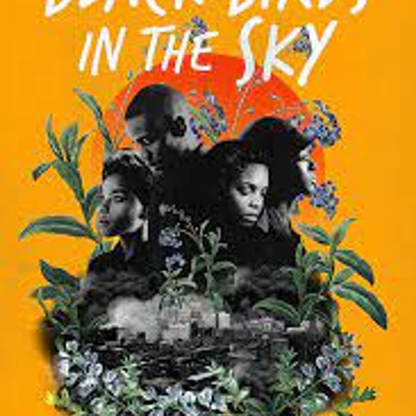 Black Birds in the Sky by Brandy Colbert (Nonfiction)