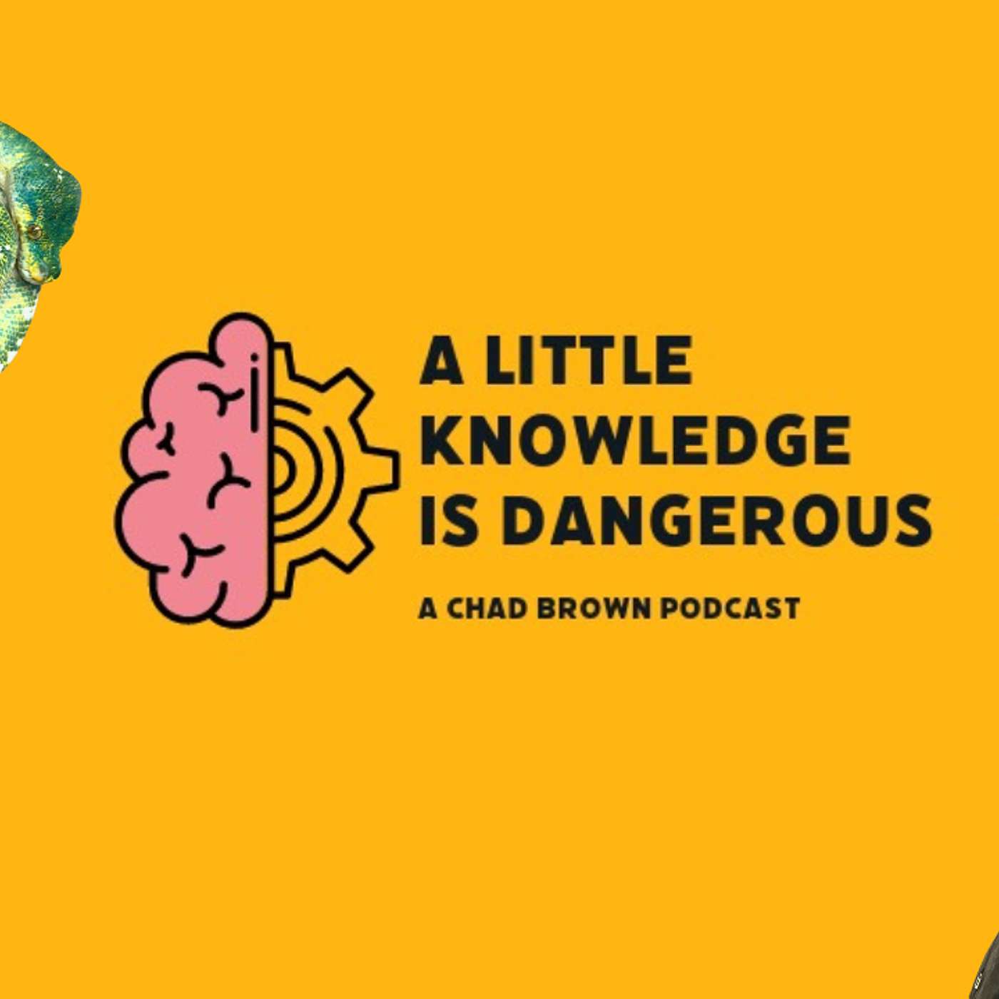 A LITTLE KNOWLEDGE IS DANGEROUS | CHAD BROWN PODCAST | PILOT EPISODE
