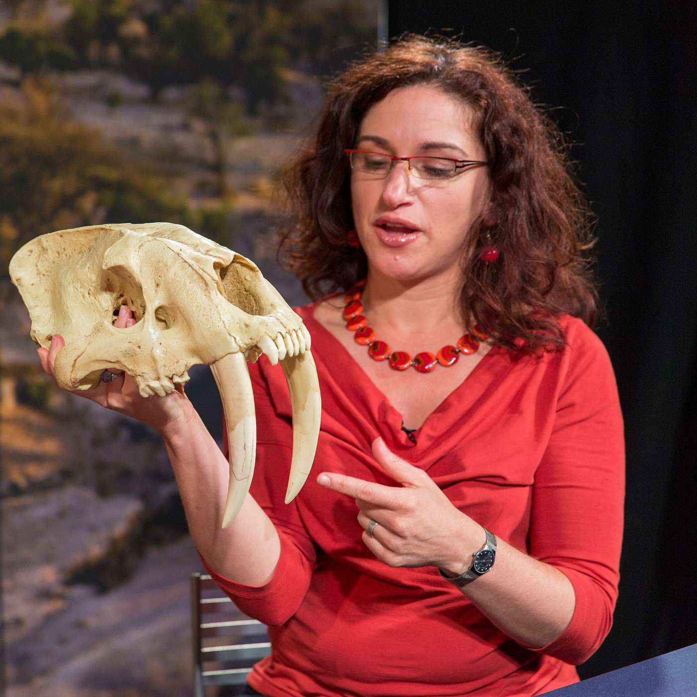 A conversation about what makes us human, paleontological time machines and bigging up science education with Dr. Briana Pobiner