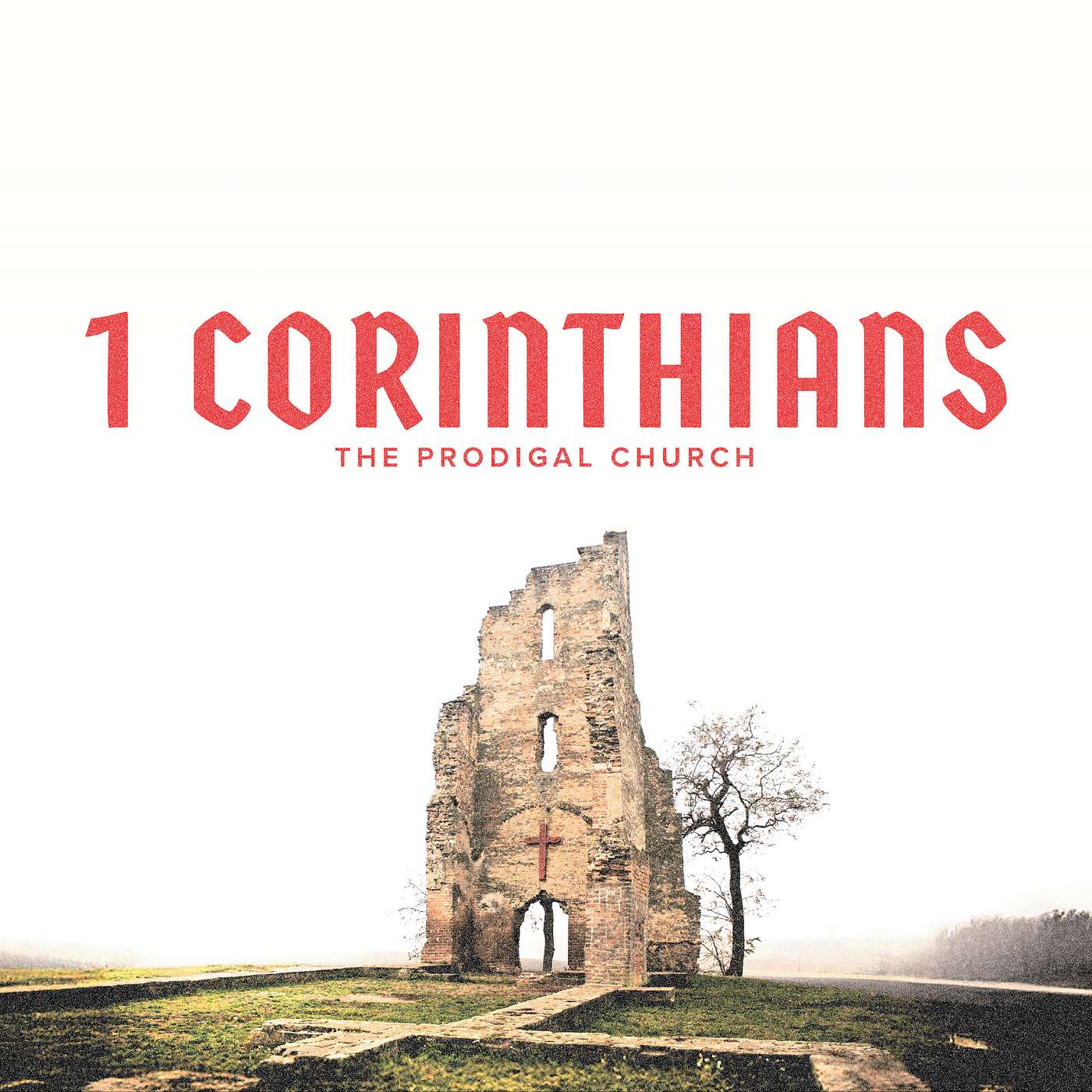 Wisdom and Christian Liberty (Part B) | Rev. Paul