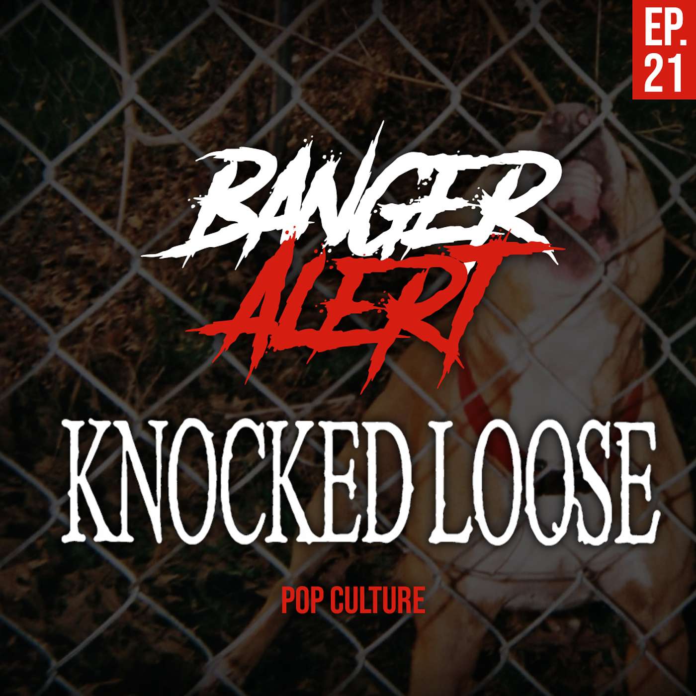 BAP Episode 21: KNOCKED LOOSE - Pop Culture