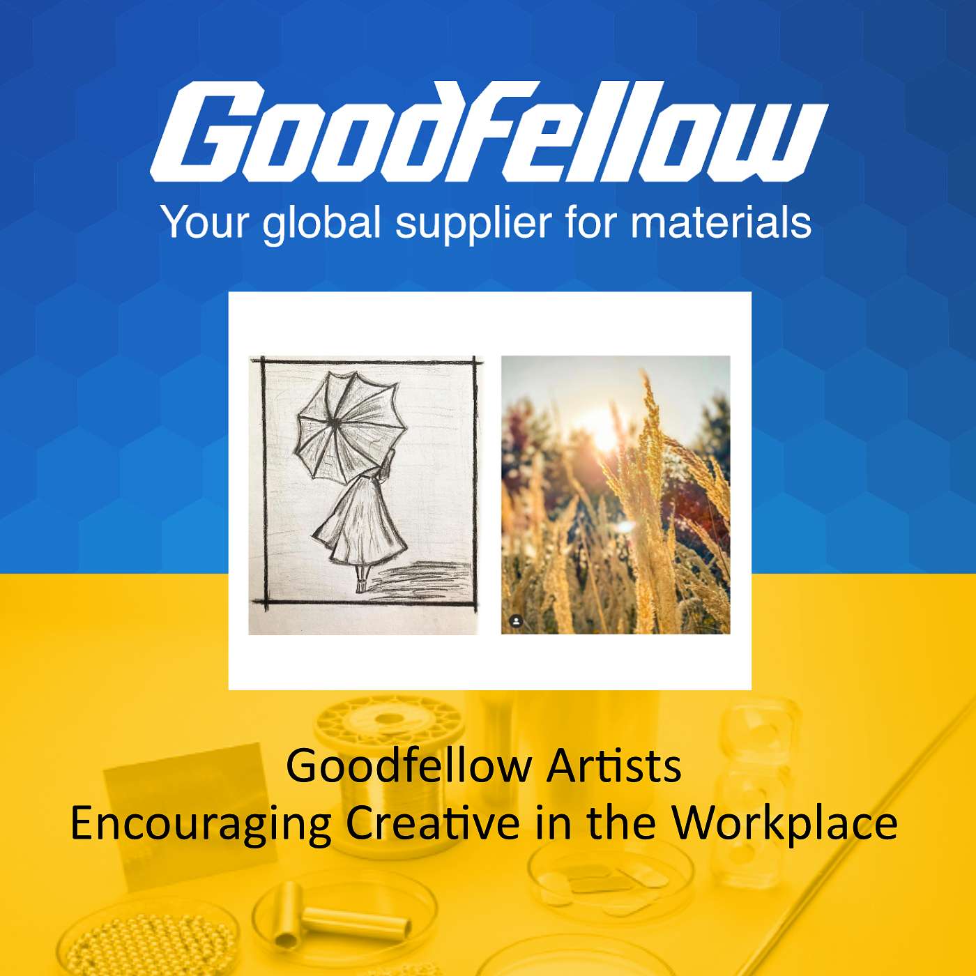 Innovation discussed by Goodfellow