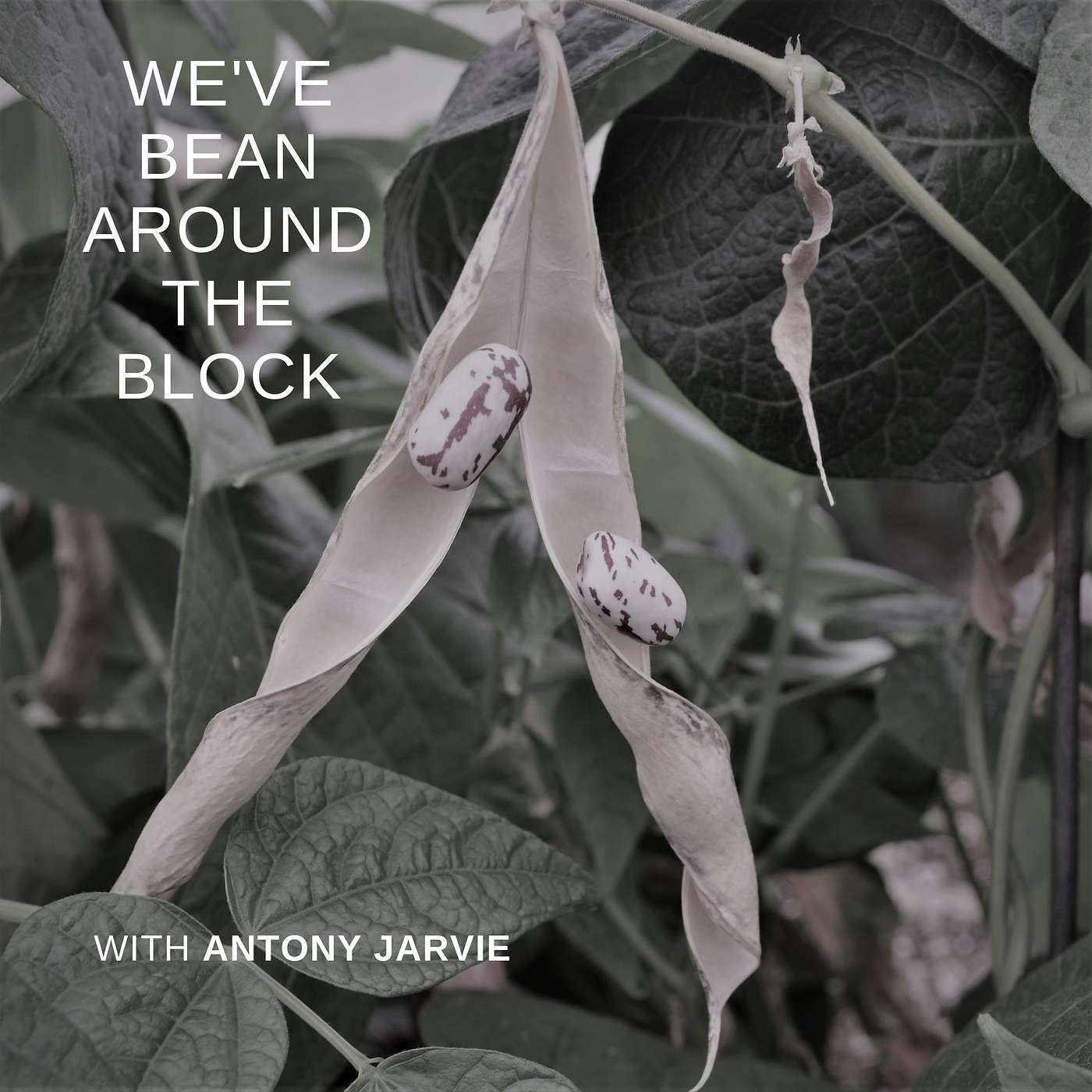 Episode 5 of 21: Cane and beans - it's a rotation strategy, not a cocktail