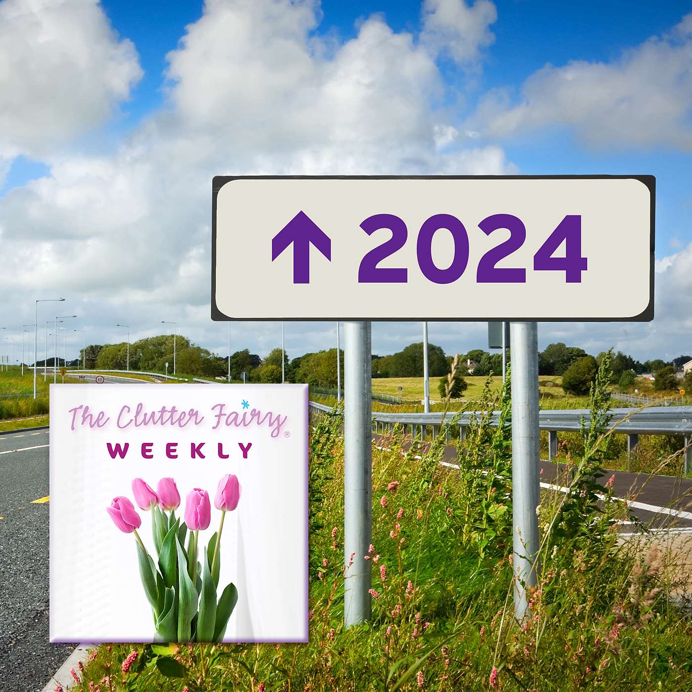The Clutter Fairy Weekly